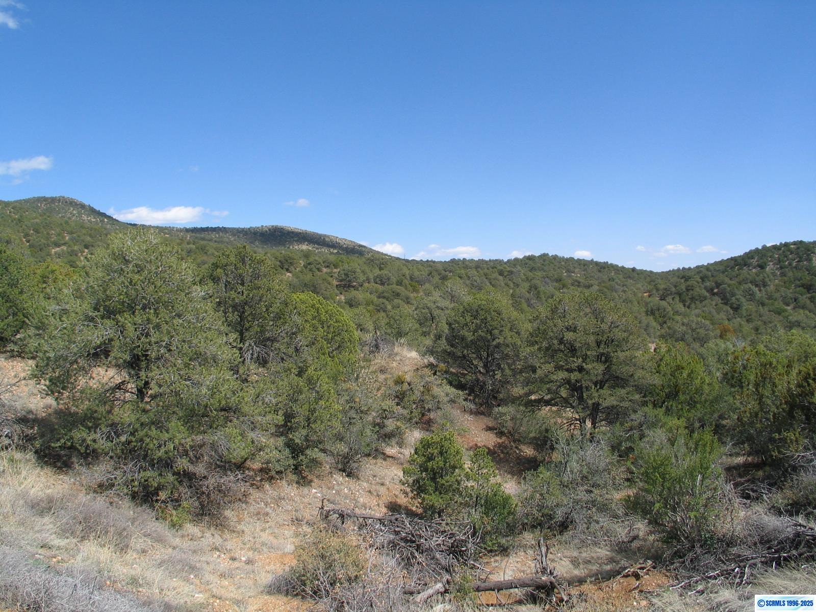 Camino De Viento Road, photograph 3