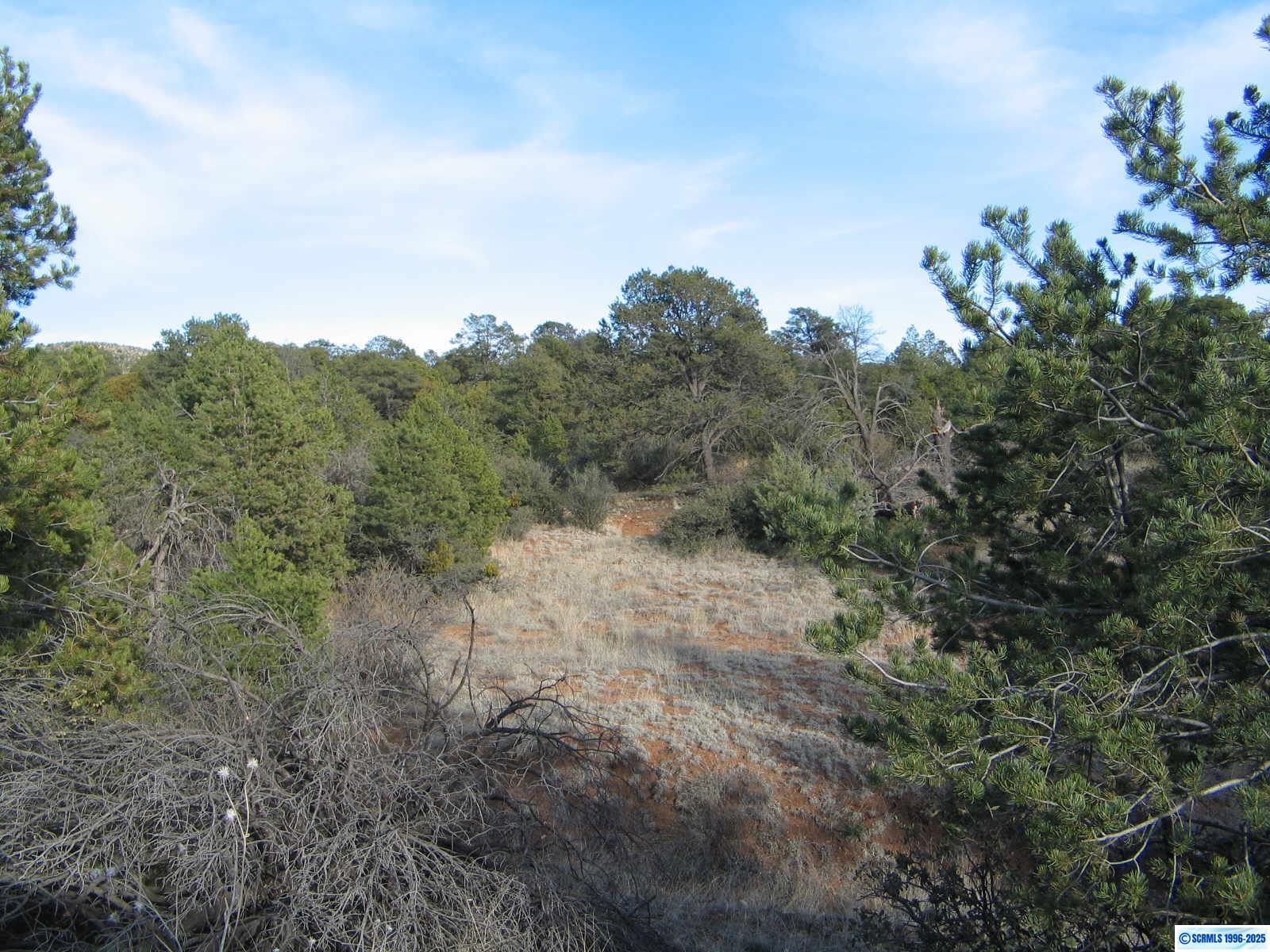 Camino De Viento Road, photograph 14