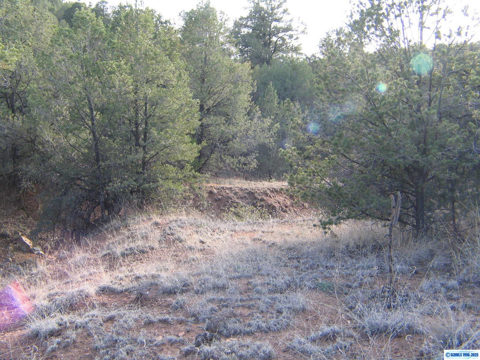 Camino De Viento Road, photograph 7