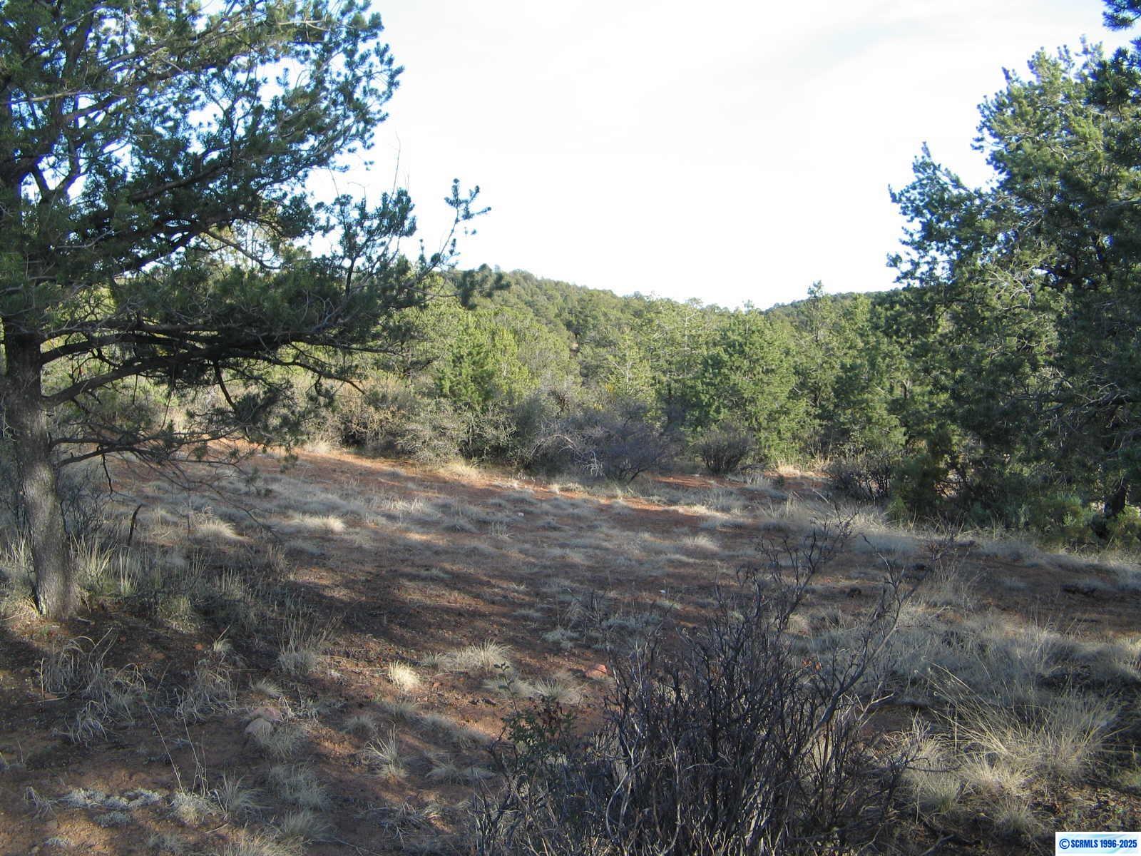 Camino De Viento Road, photograph 11