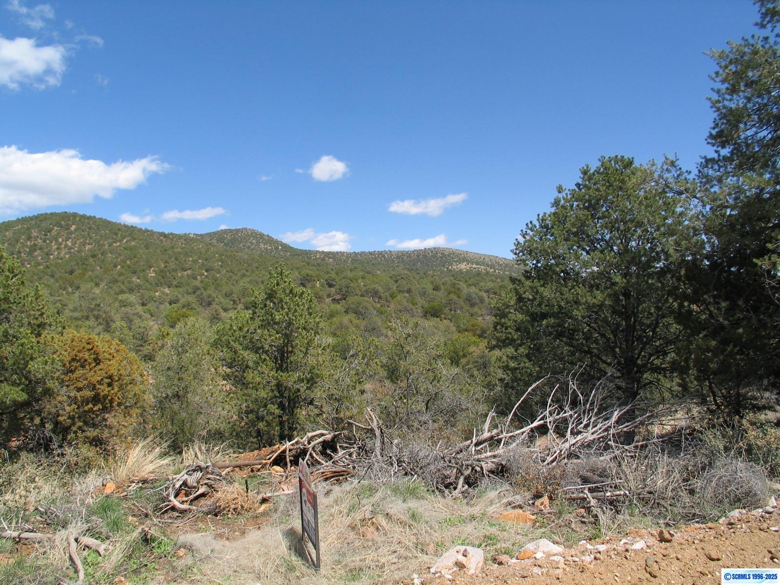 Camino De Viento Road, photograph 4