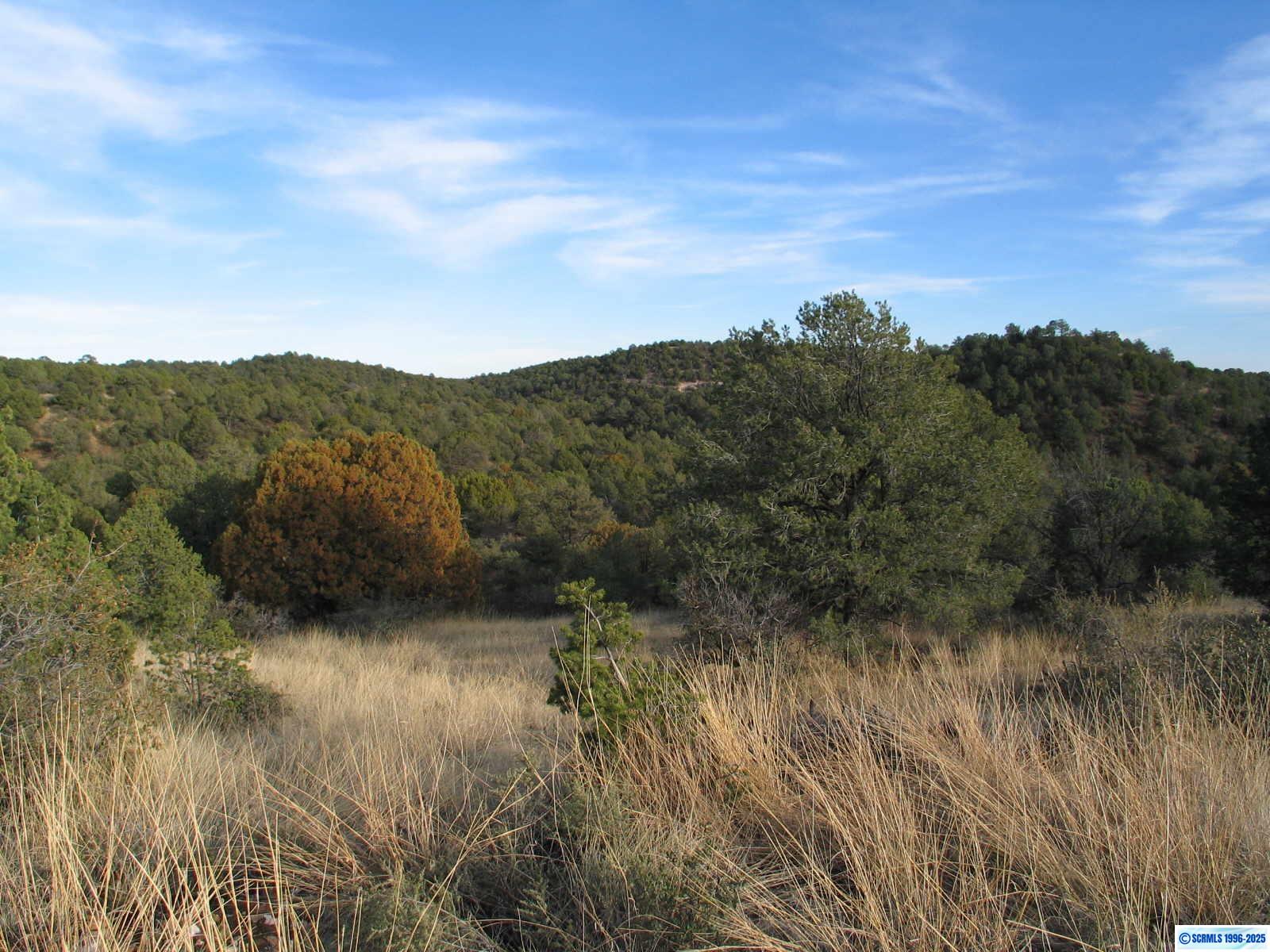 Camino De Viento Road, photograph 6