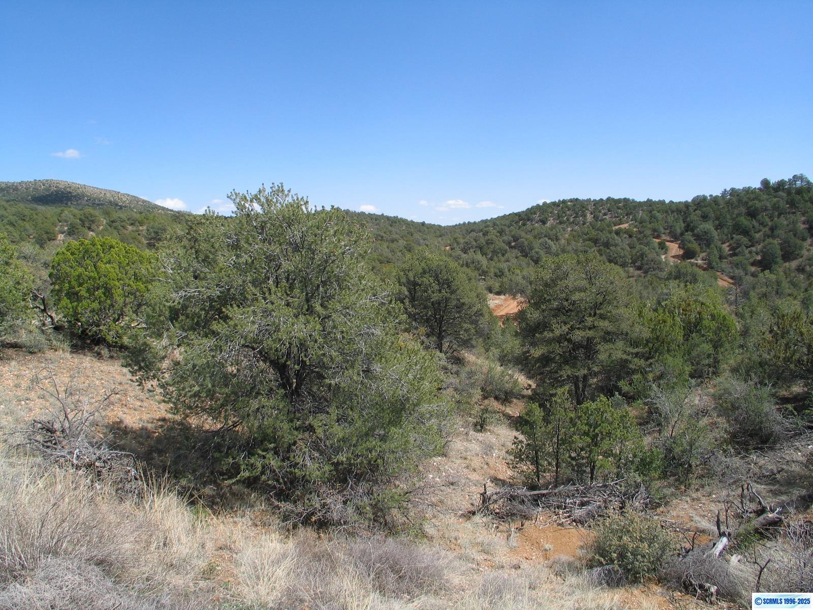 Camino De Viento Road, photograph 4
