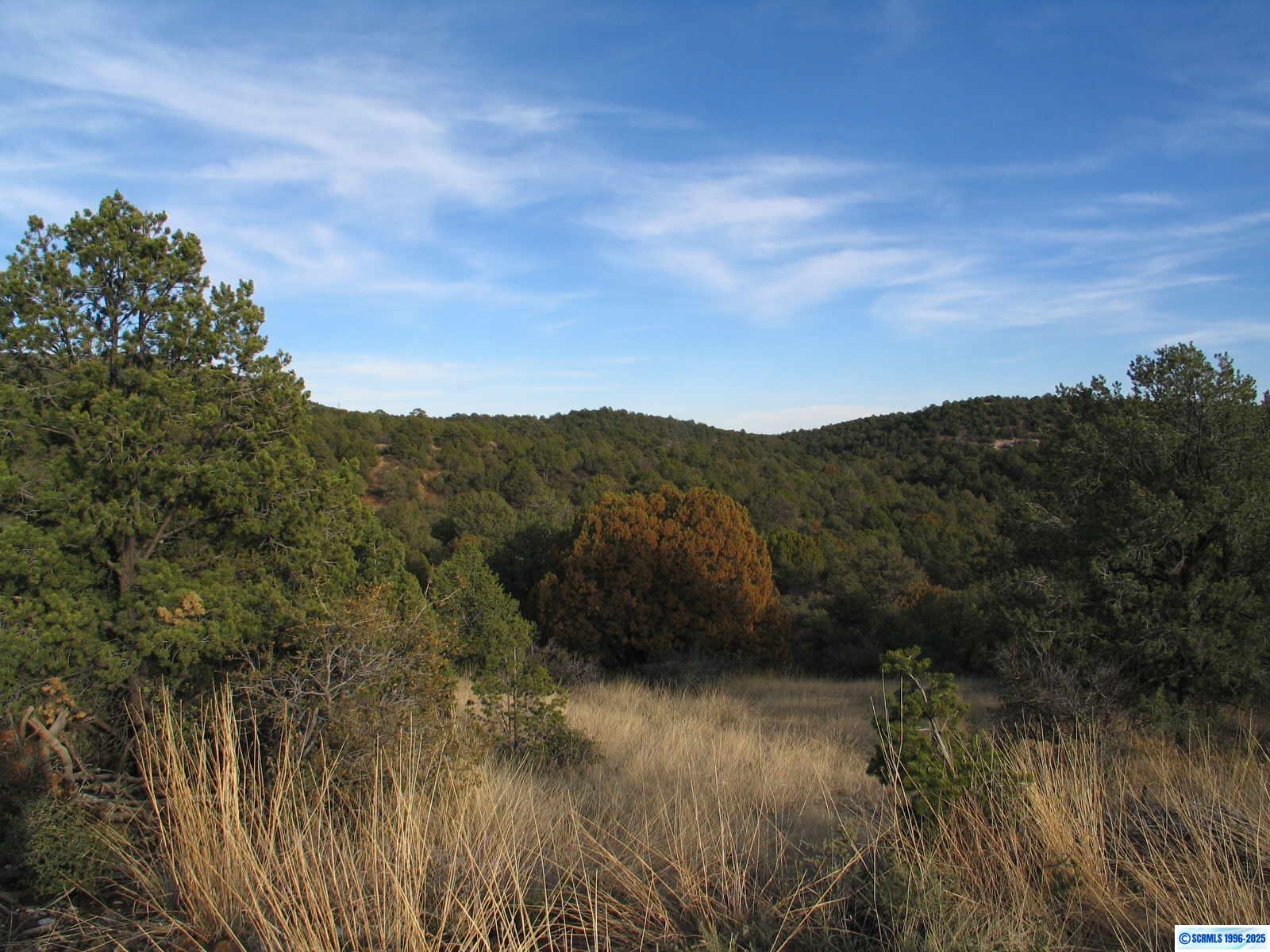 Camino De Viento Road, Silver City