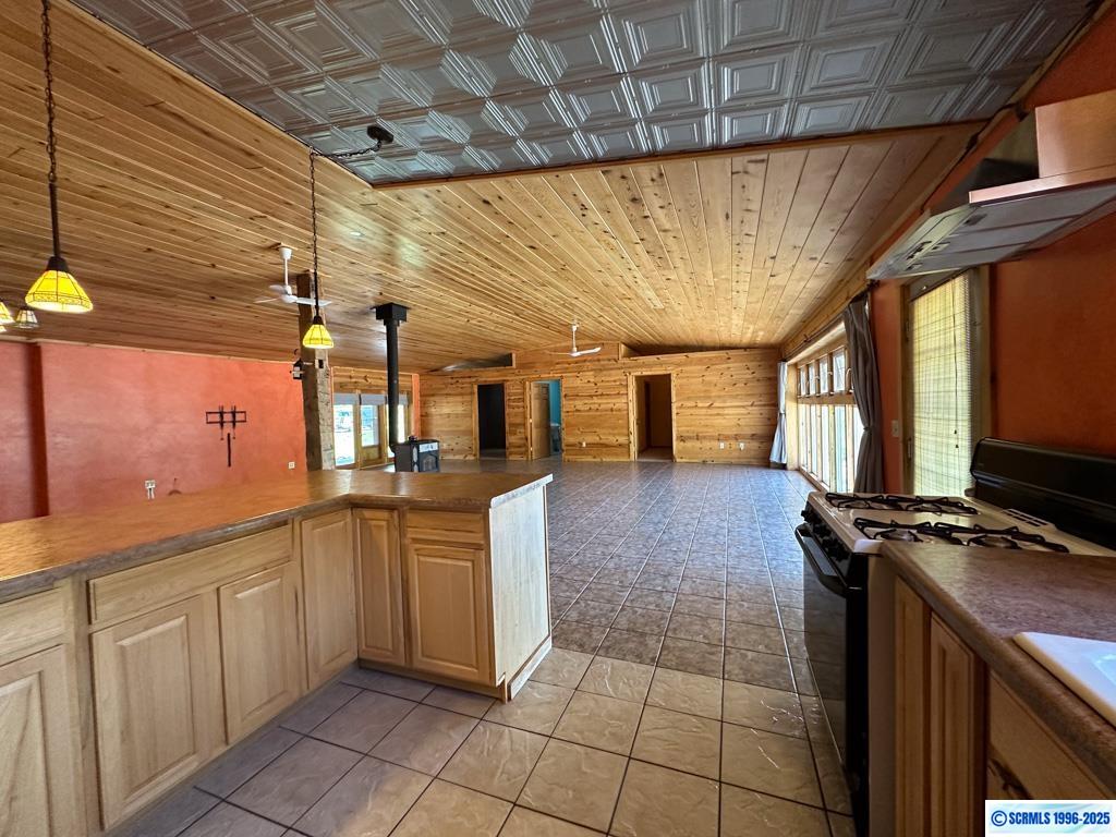 7150 W Hwy 180, photograph 18