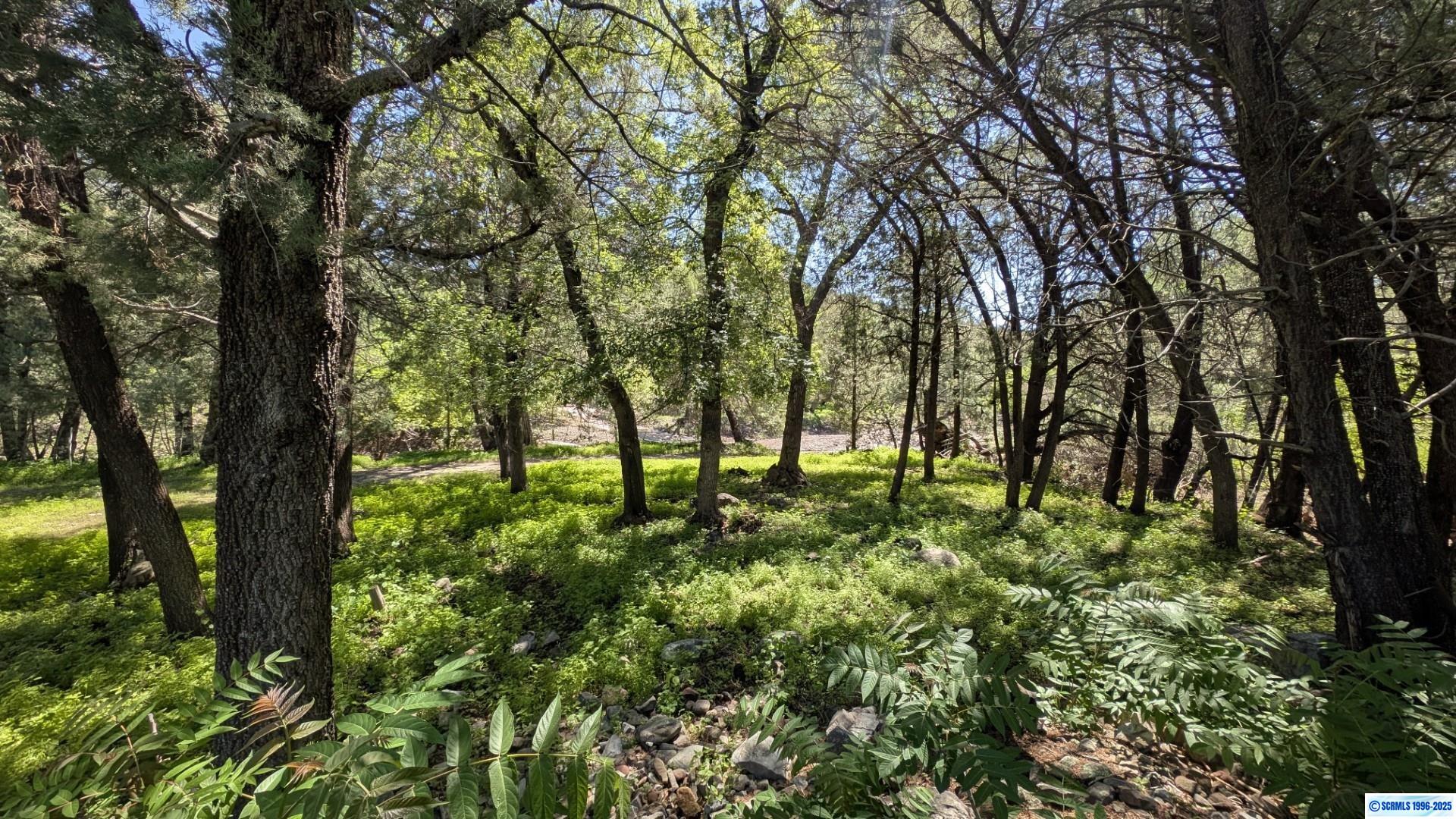 200 Shingle Canyon Road, photograph 27