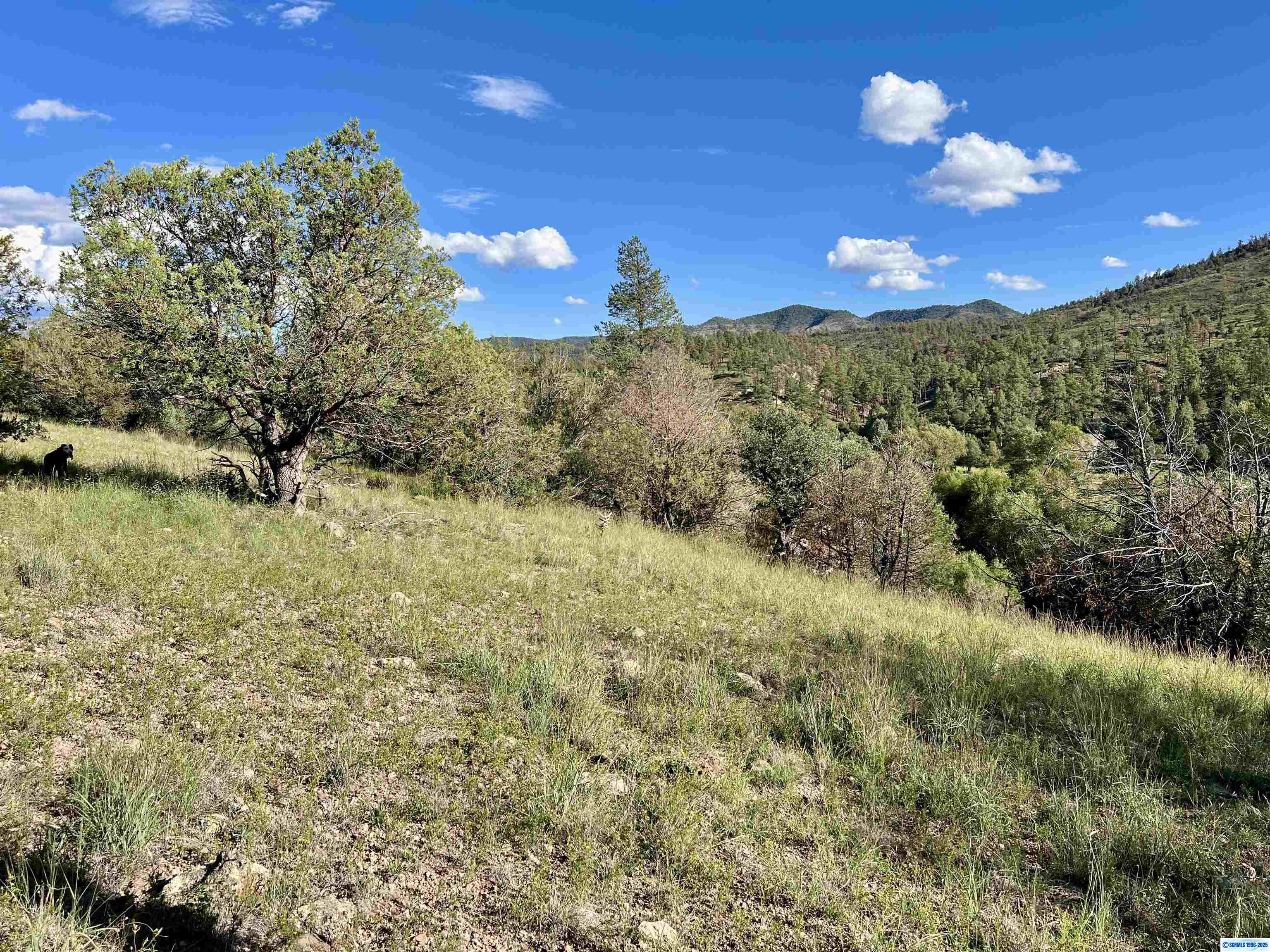 1076 Highway 35, photograph 17
