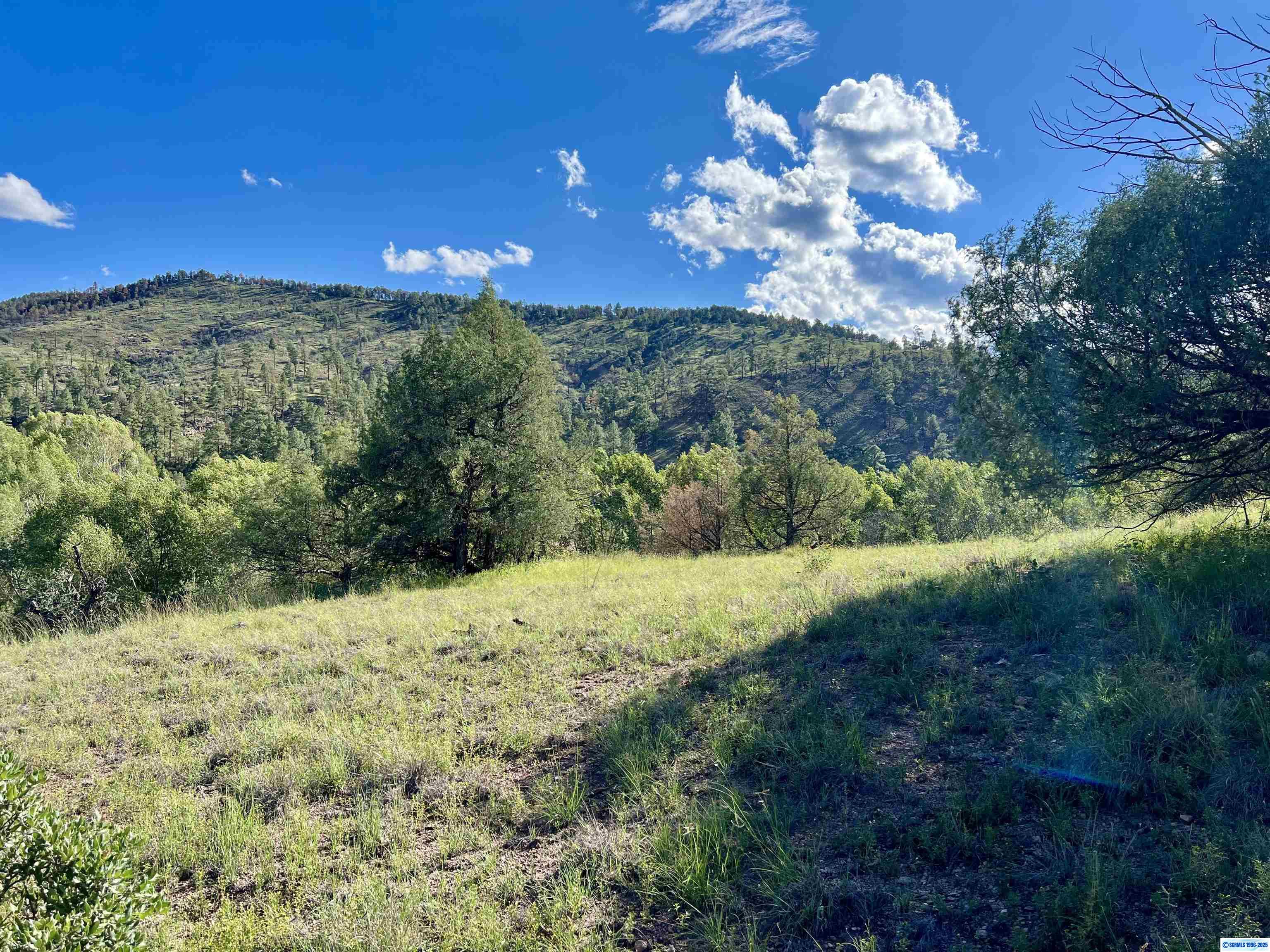 1076 Highway 35, photograph 4