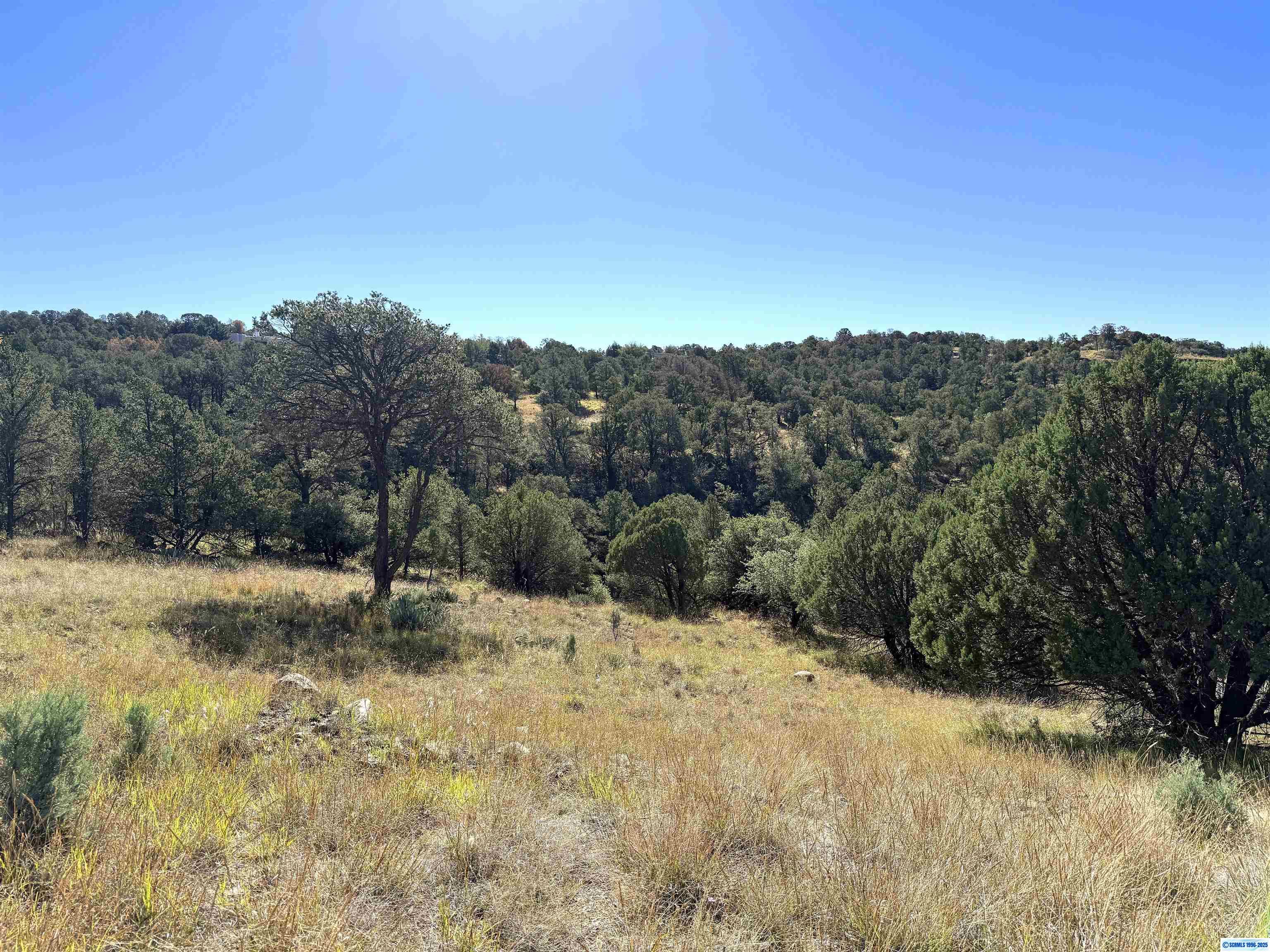 3 Lots N SWAN STREET #LOTS 72, 73, 74, photograph 4