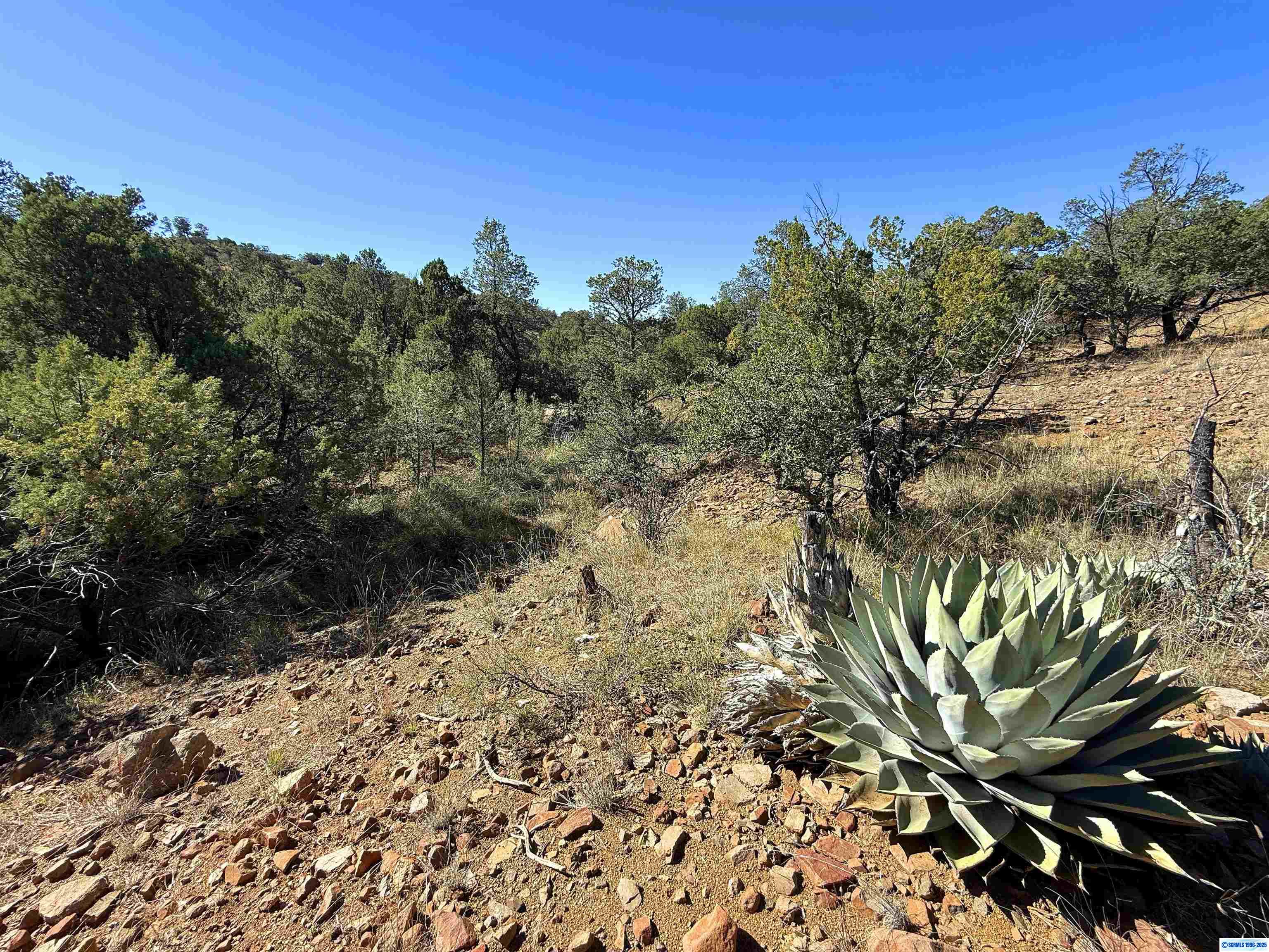 3 Lots N SWAN STREET #LOTS 72, 73, 74, photograph 5