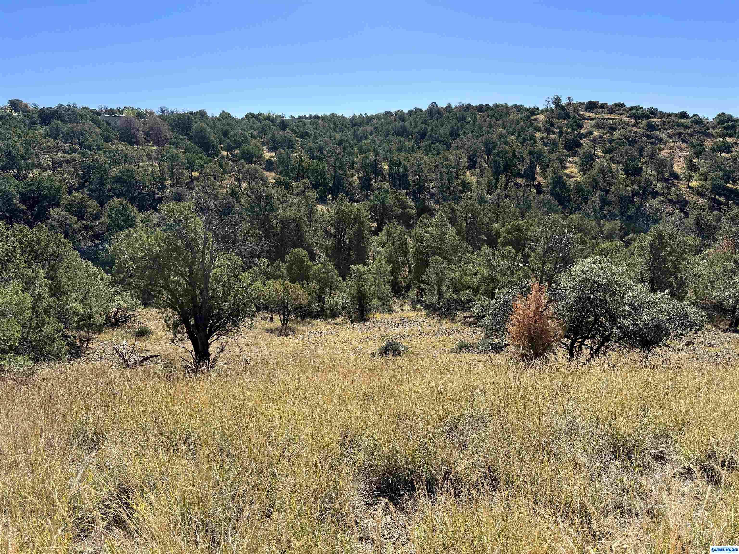 3 Lots N SWAN STREET #LOTS 72, 73, 74, photograph 6