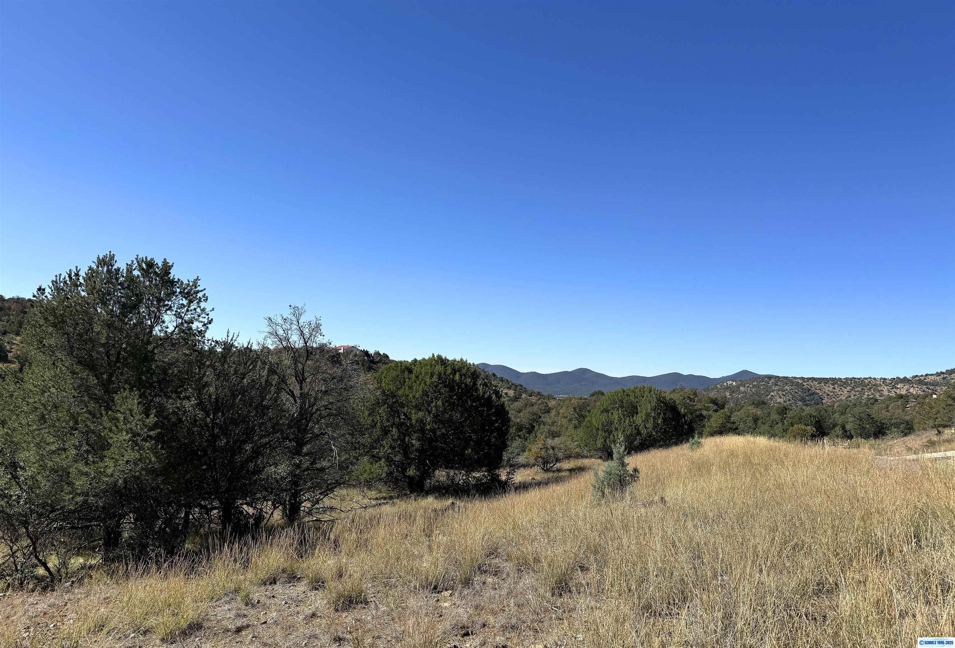 3 Lots N SWAN STREET #LOTS 72, 73, 74, photograph 7