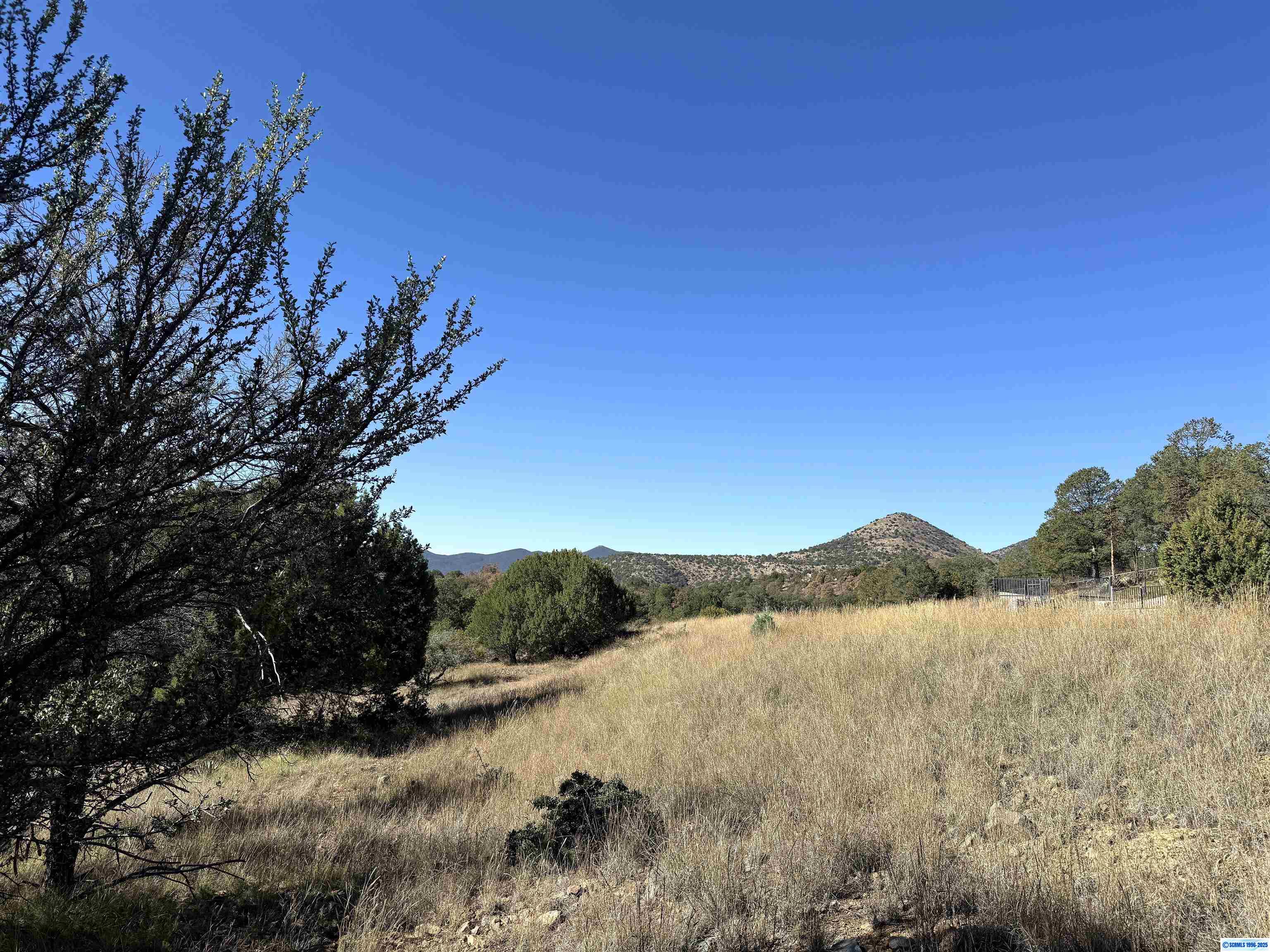3 Lots N SWAN STREET #LOTS 72, 73, 74, photograph 8