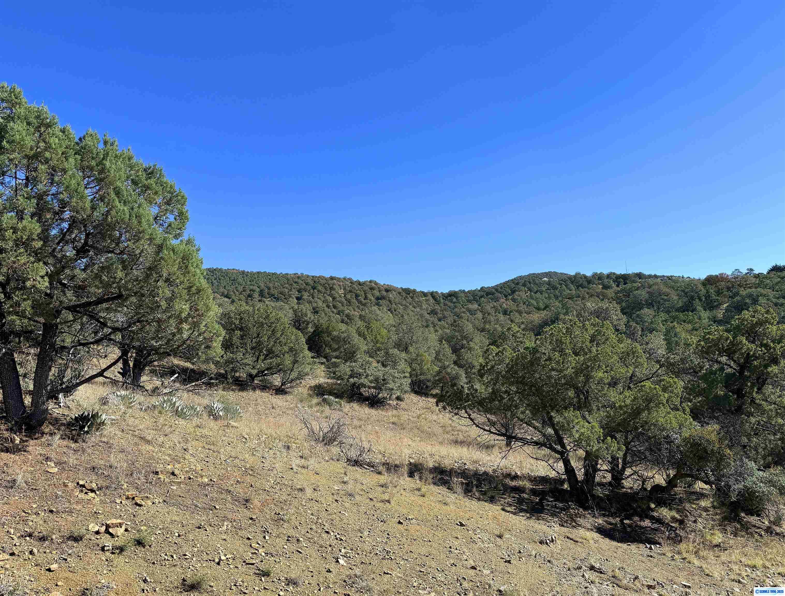 3 Lots N SWAN STREET #LOTS 72, 73, 74, photograph 9