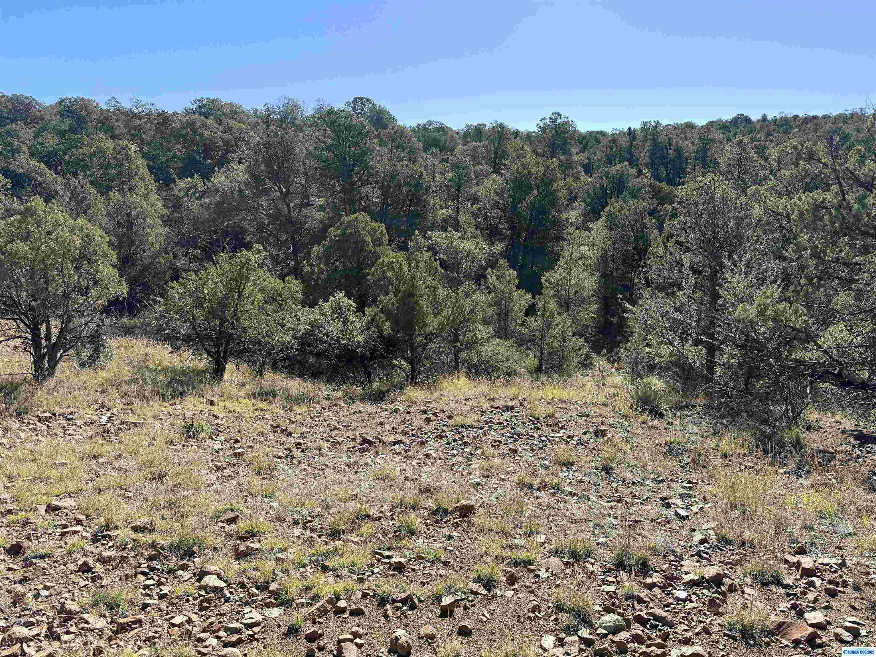 3 Lots N SWAN STREET #LOTS 72, 73, 74, photograph 10