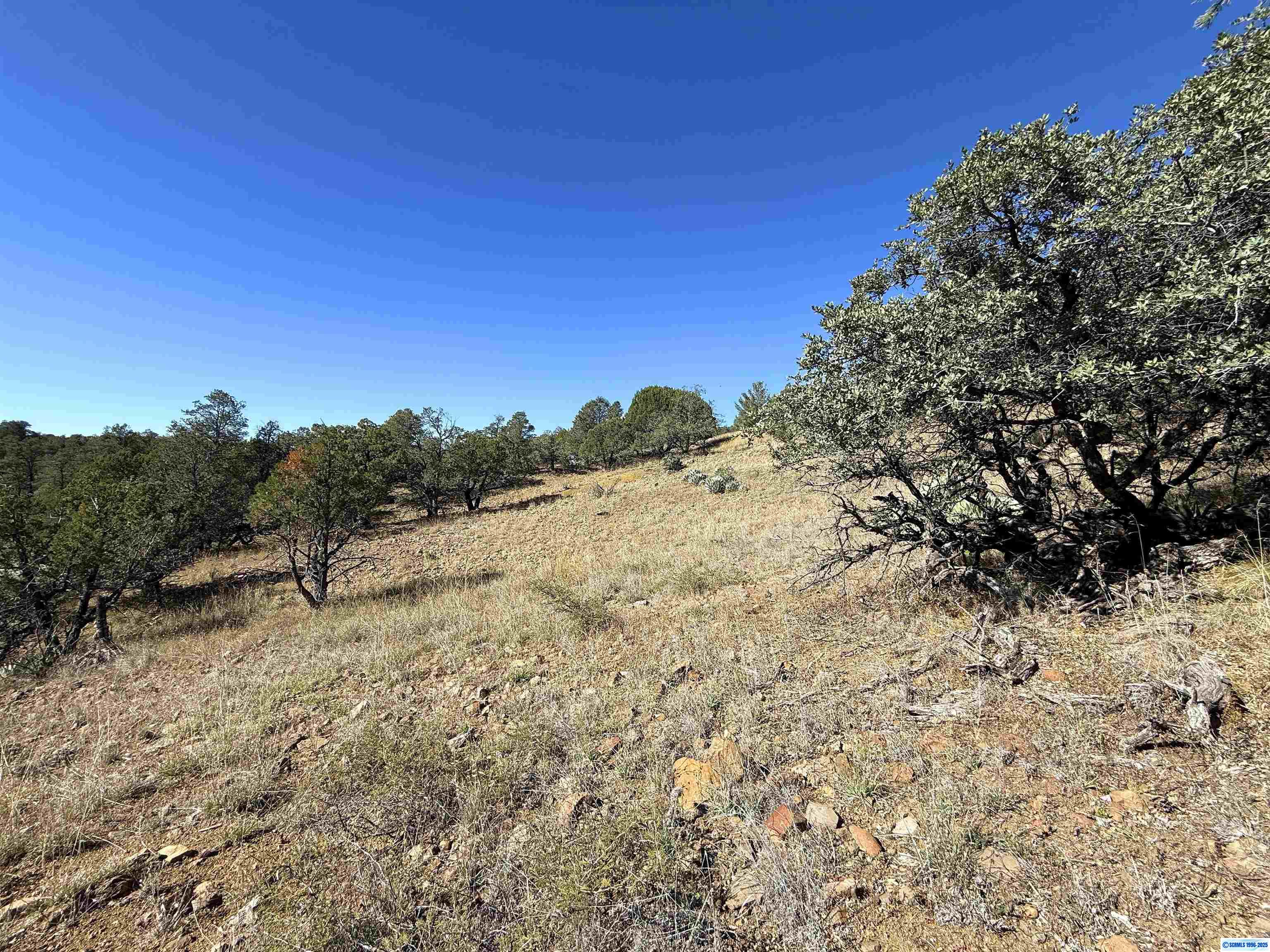 3 Lots N SWAN STREET #LOTS 72, 73, 74, photograph 11