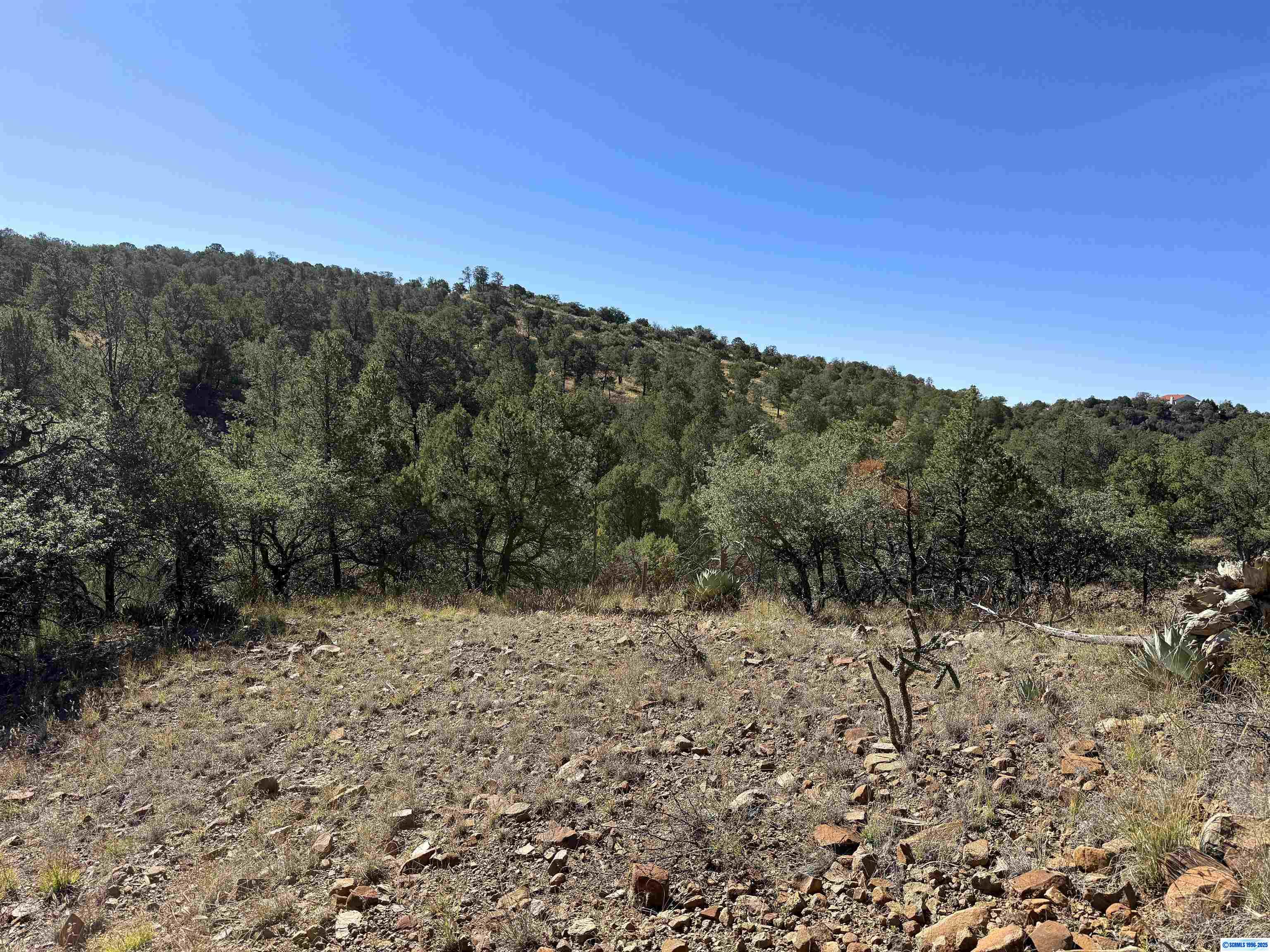 3 Lots N SWAN STREET #LOTS 72, 73, 74, photograph 12