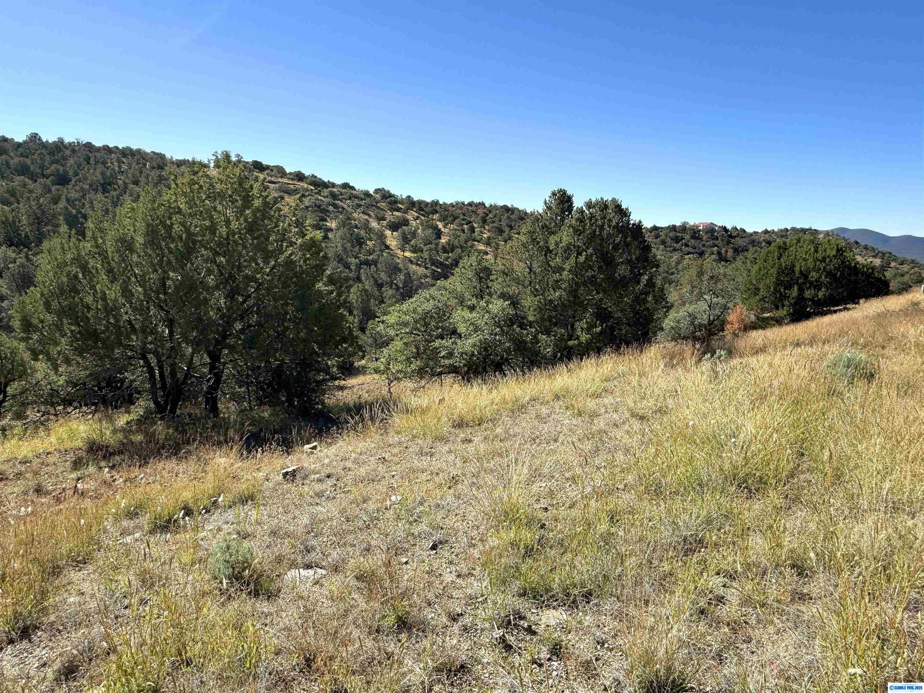 3 Lots N SWAN STREET #LOTS 72, 73, 74, photograph 13