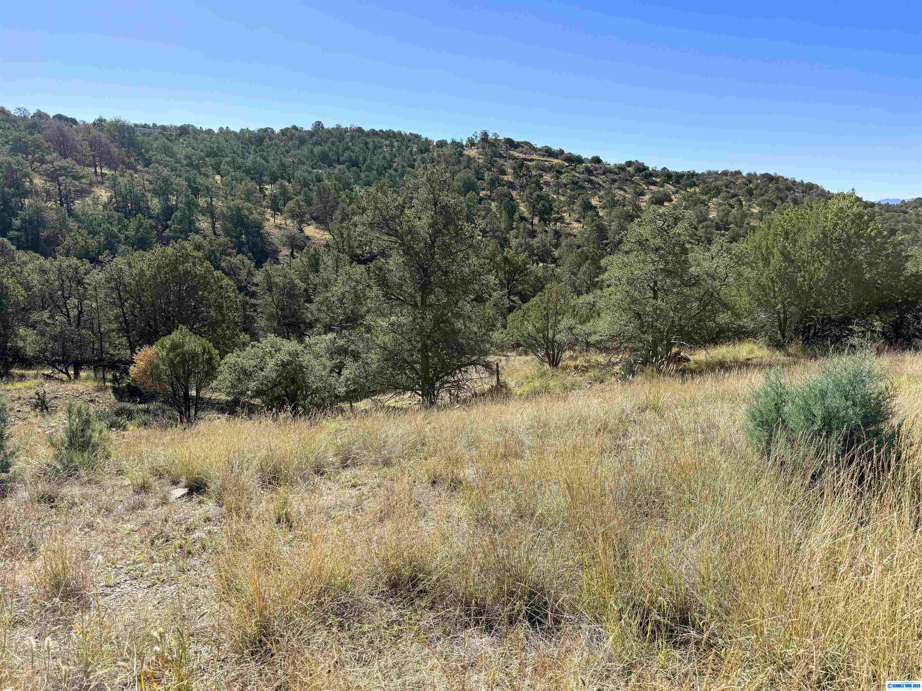 3 Lots N SWAN STREET #LOTS 72, 73, 74, photograph 14