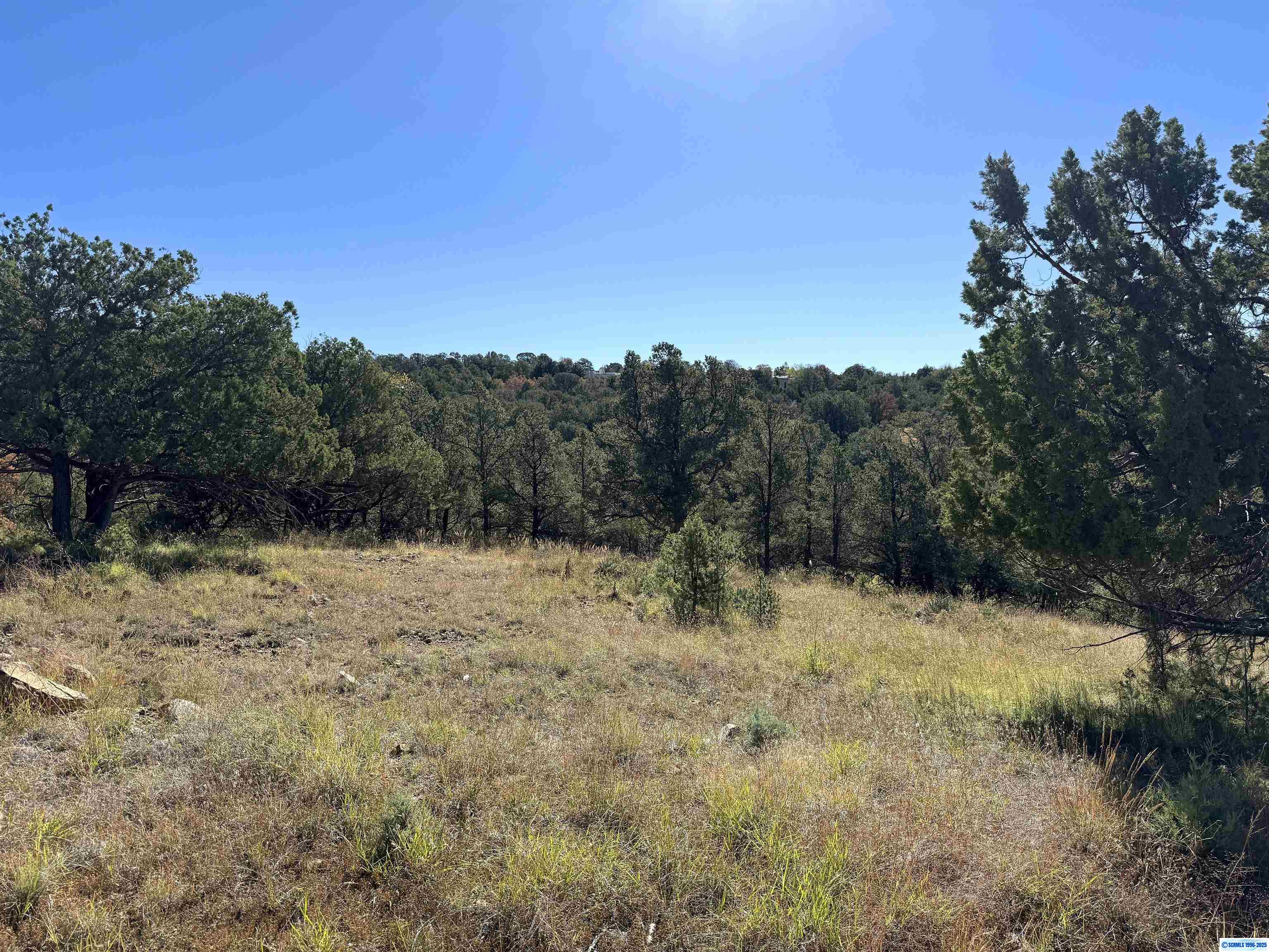 3 Lots N SWAN STREET #LOTS 72, 73, 74, photograph 15