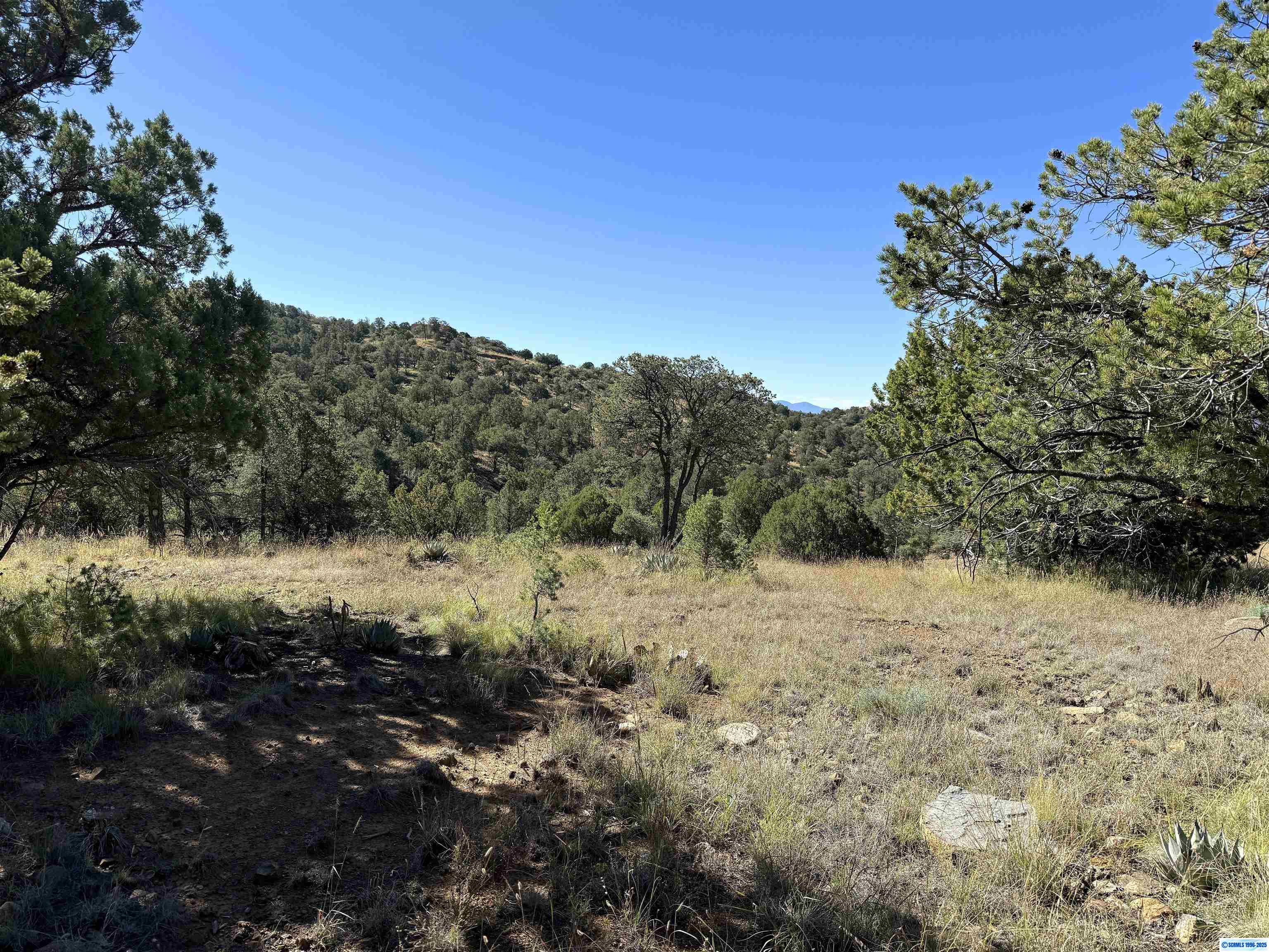 3 Lots N SWAN STREET #LOTS 72, 73, 74, photograph 16