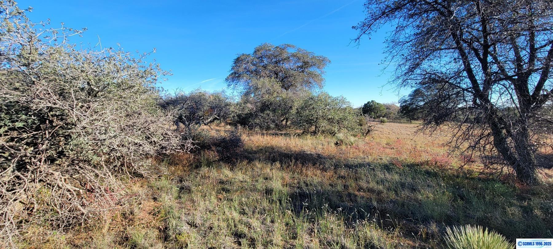 Lot 3A Cattlemans Trail, photograph 14