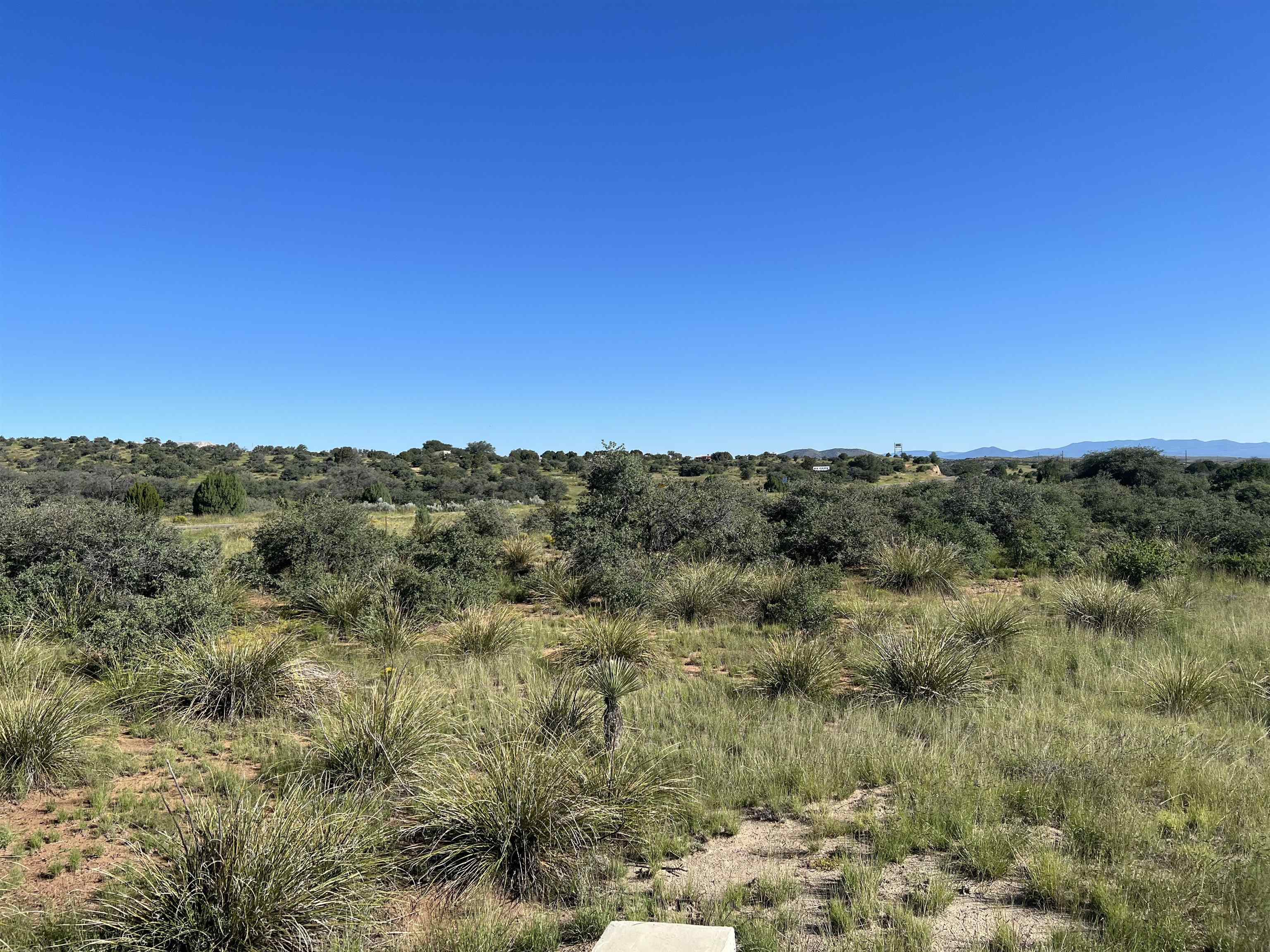 2764 S Highway 90, photograph 2