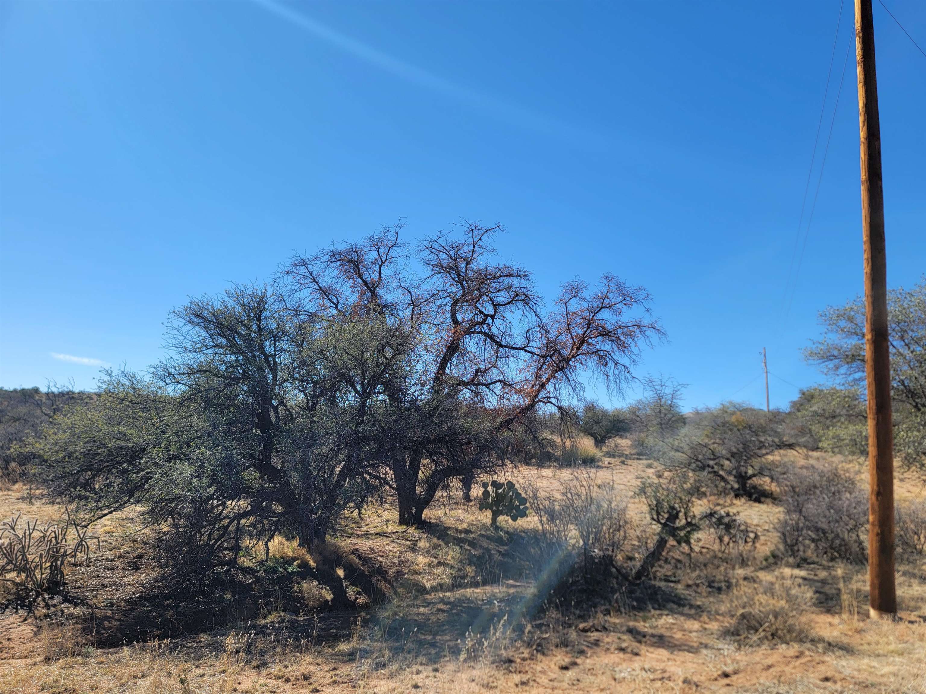 Address withheld at seller’s request, Silver City