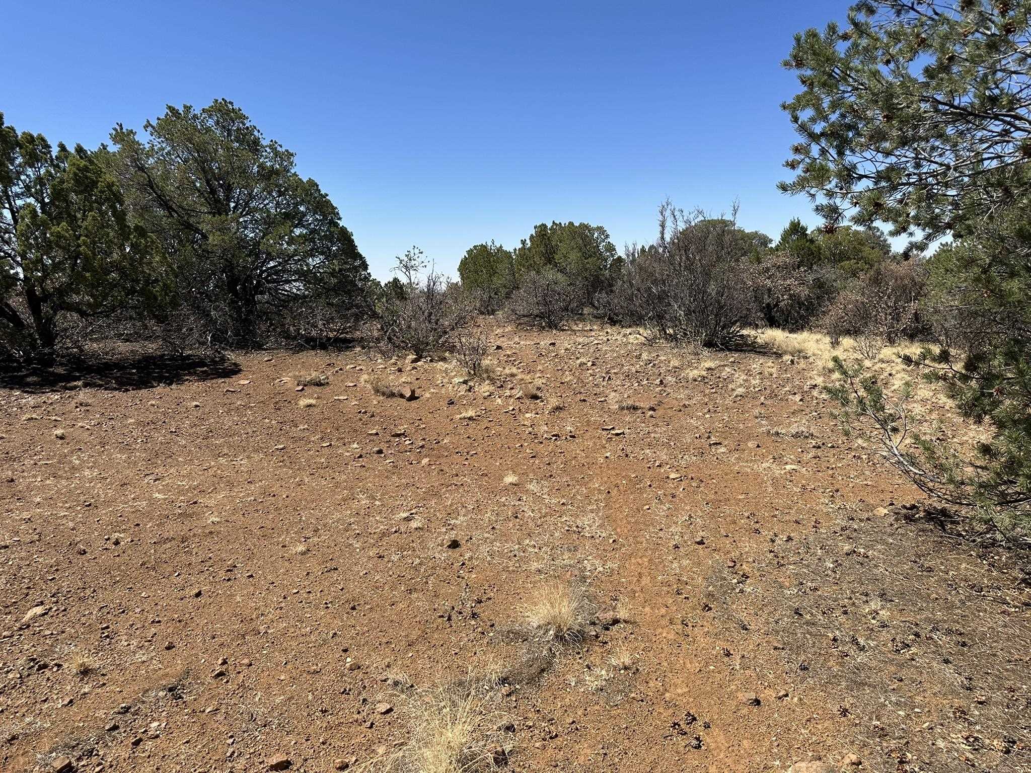 12X Hideaway Trail, photograph 20