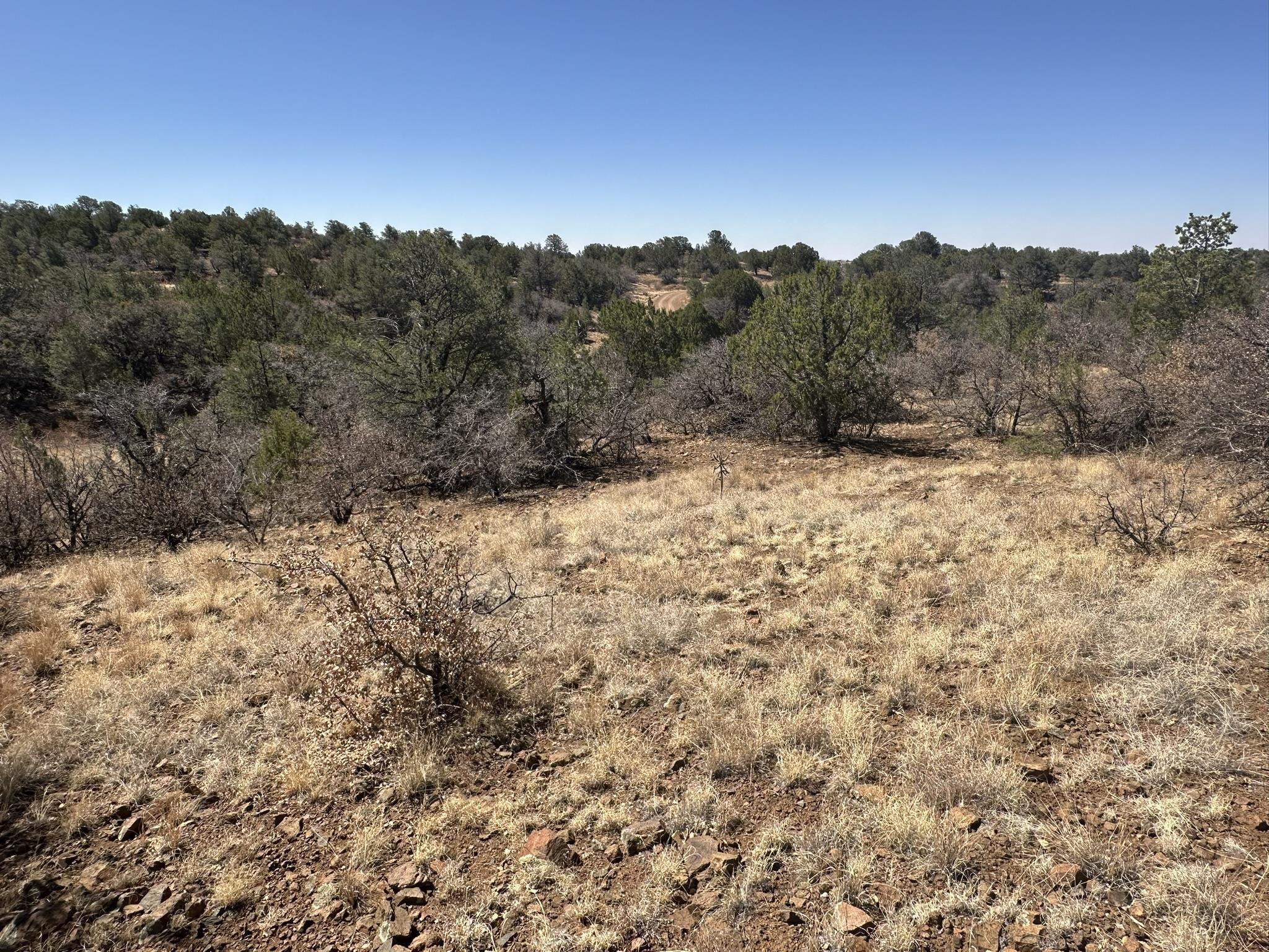 12X Hideaway Trail, photograph 7