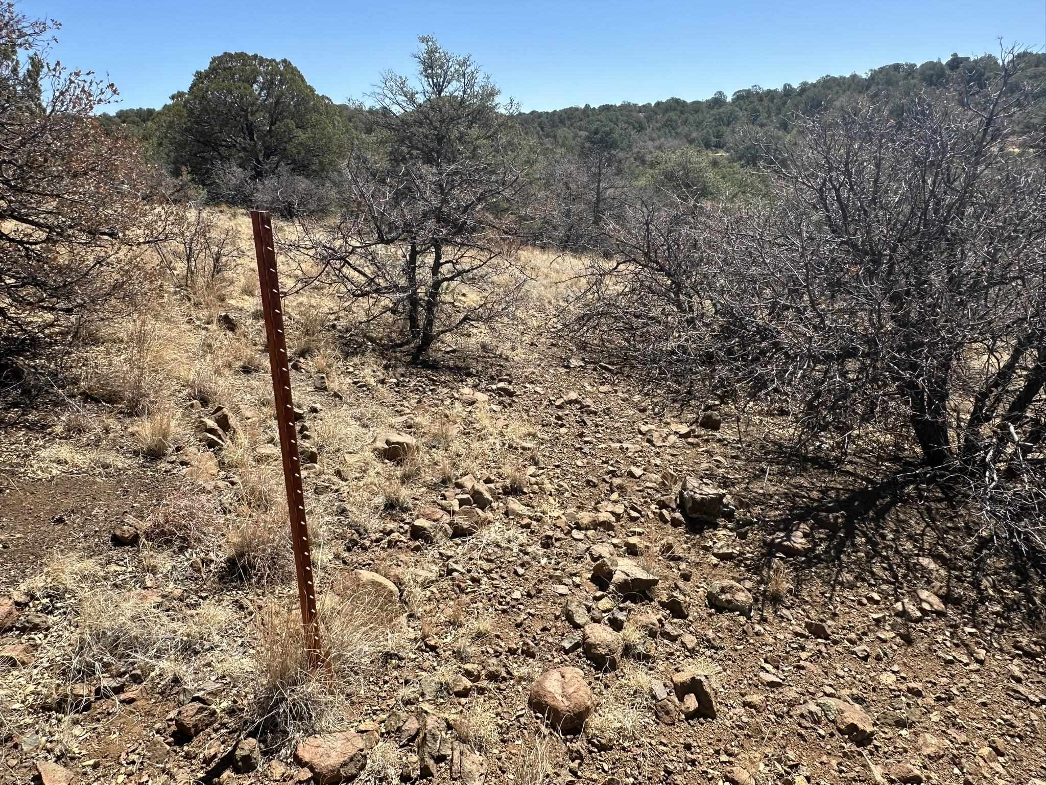 12X Hideaway Trail, photograph 8