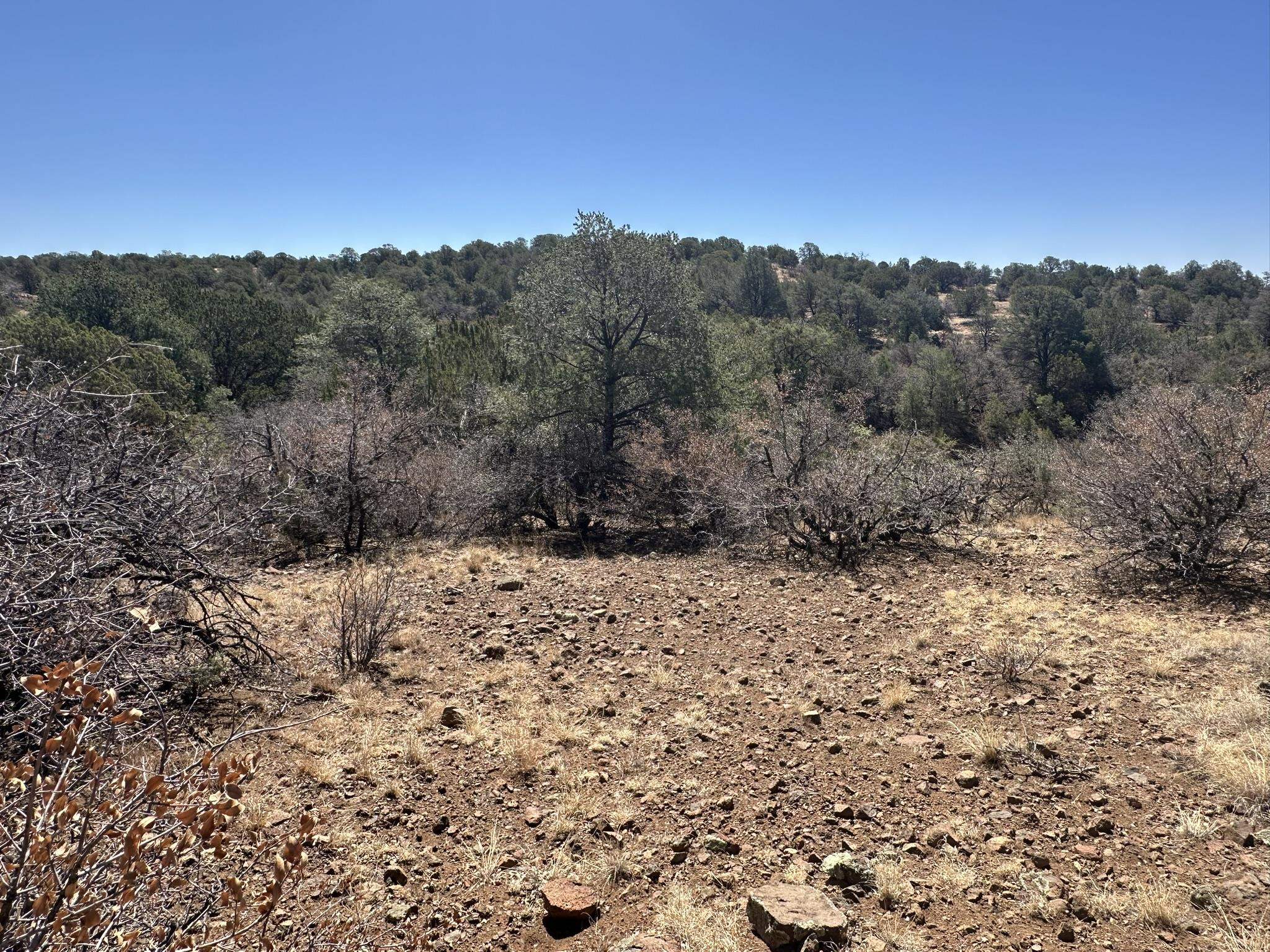 12X Hideaway Trail, photograph 10