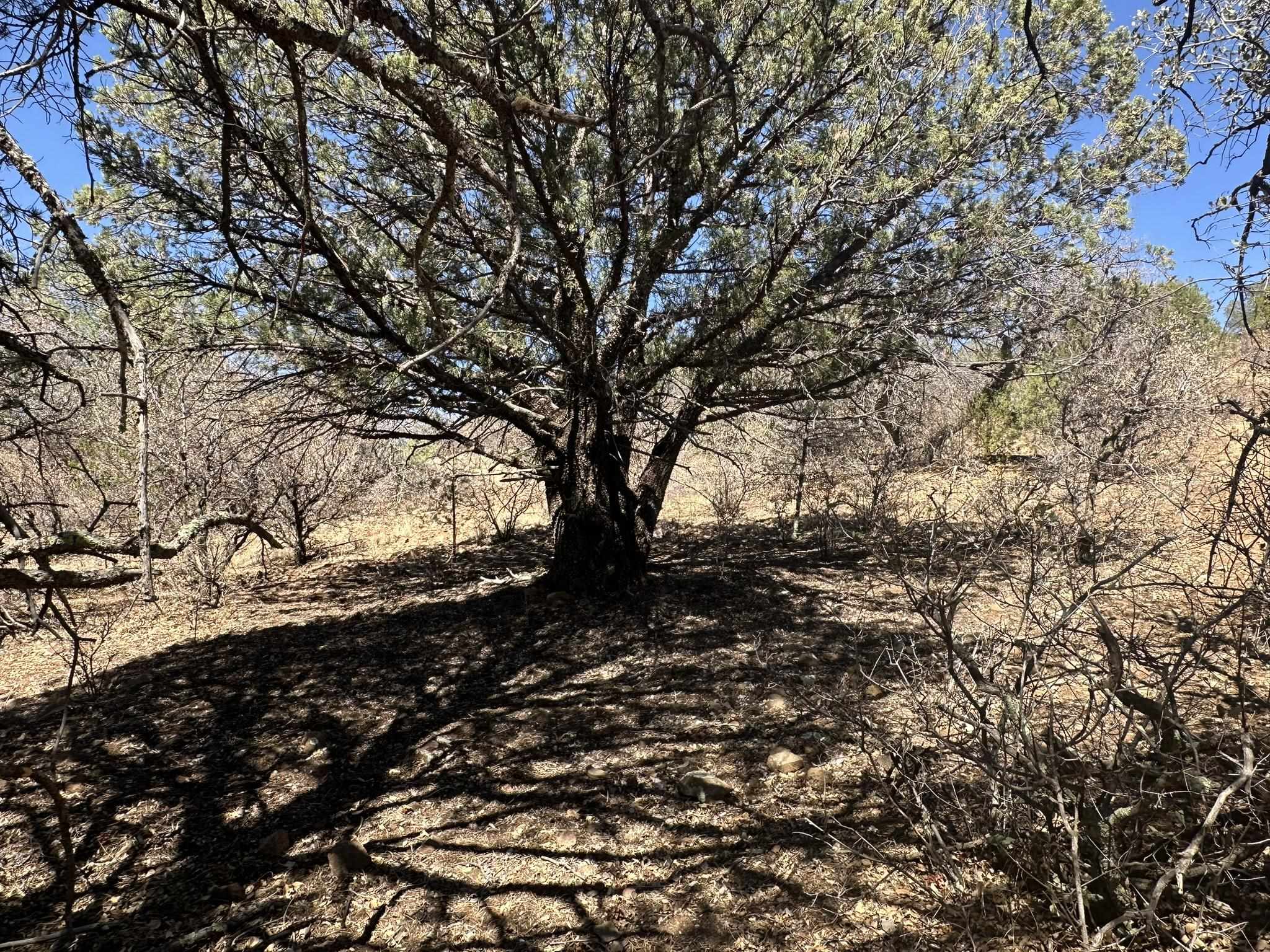12X Hideaway Trail, photograph 12