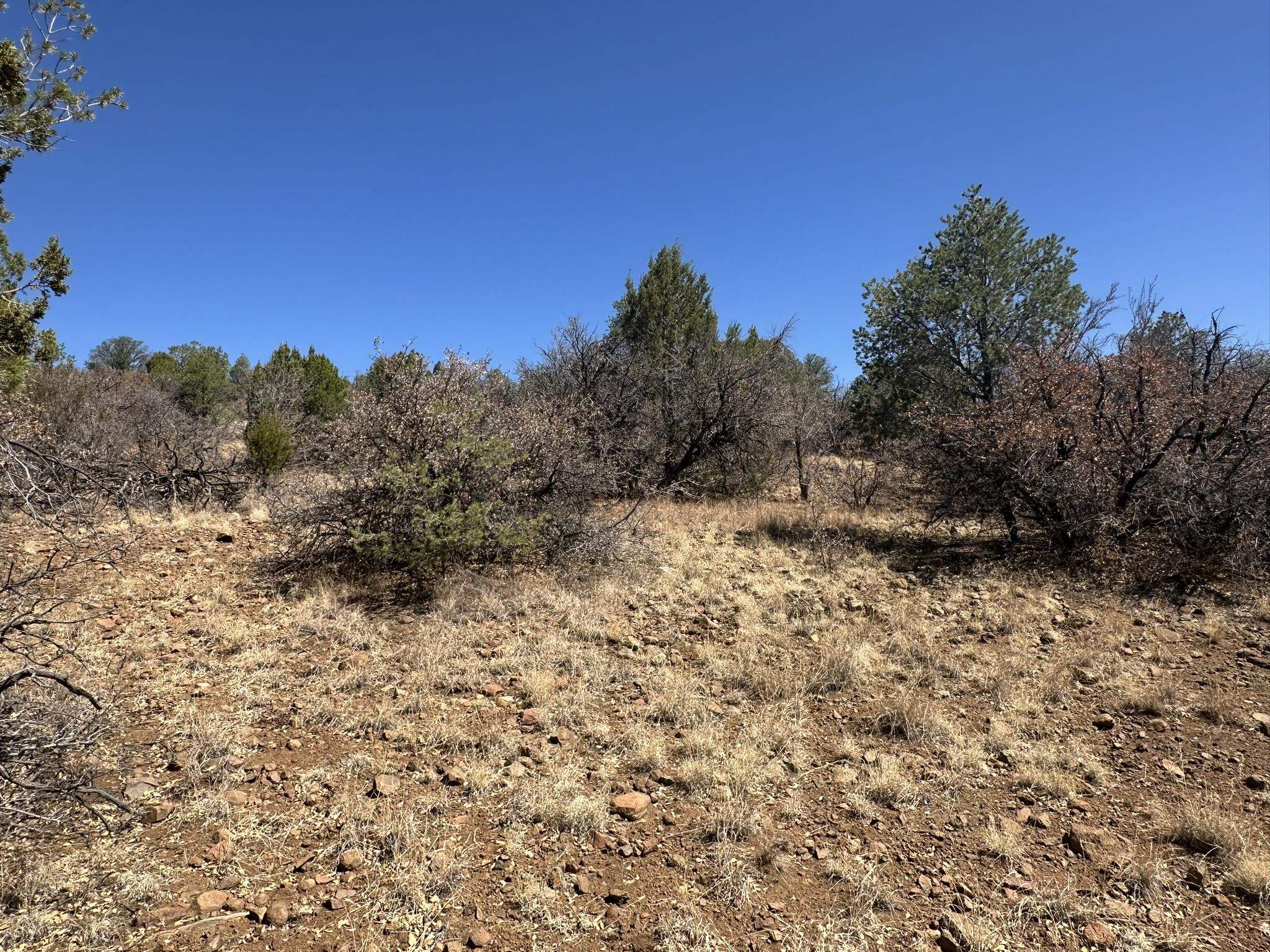 12X Hideaway Trail, photograph 3