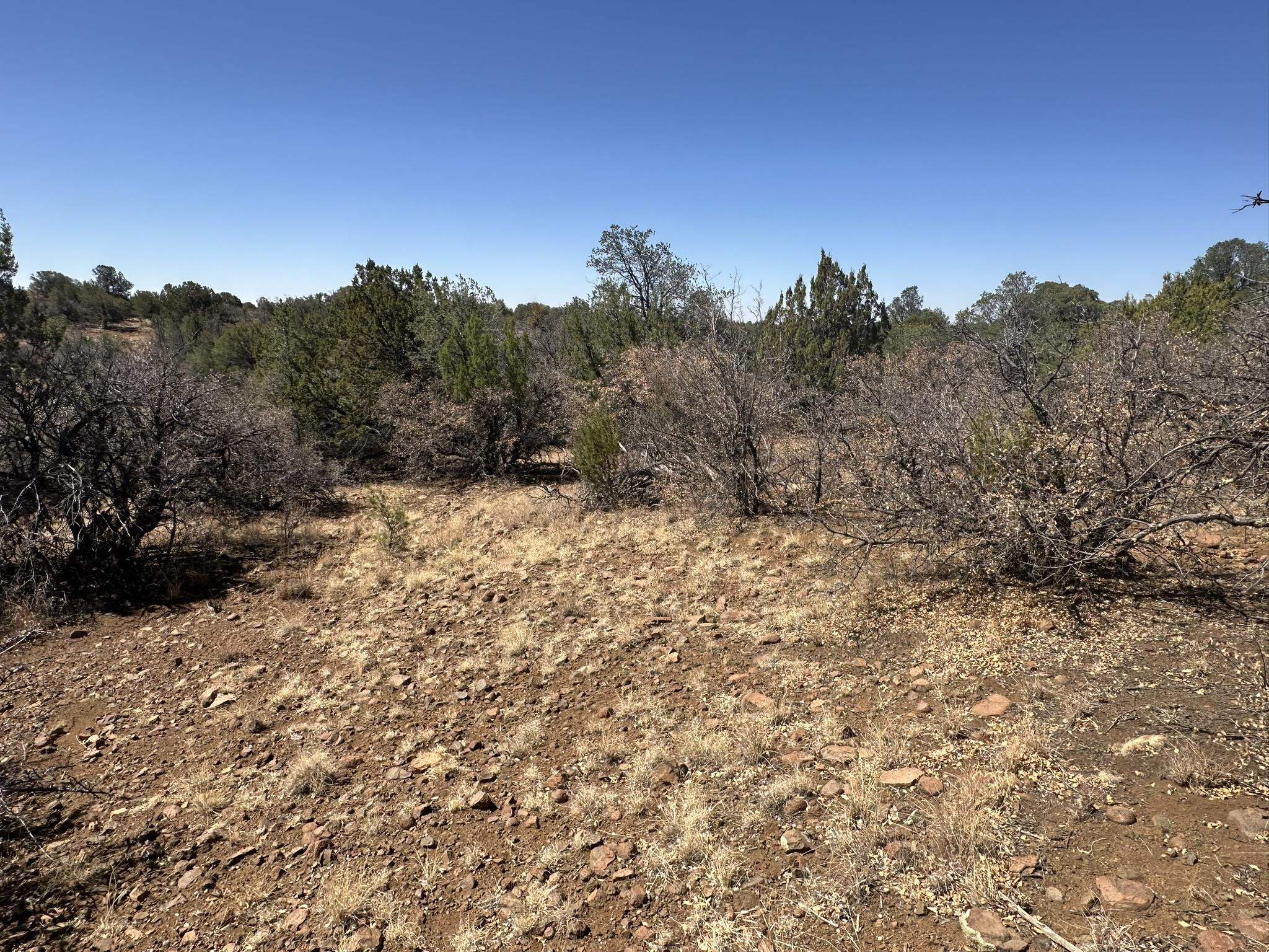 12X Hideaway Trail, photograph 4