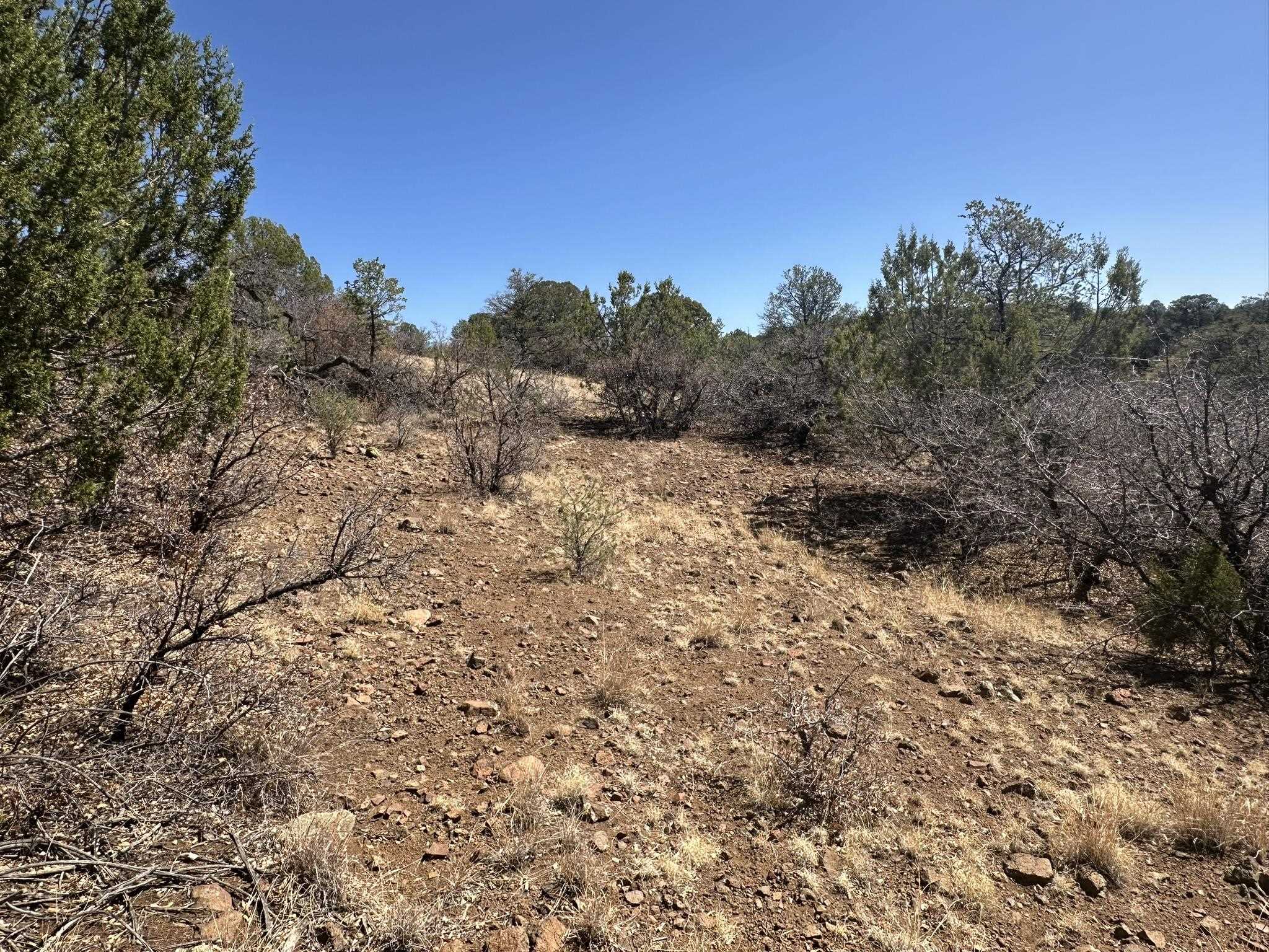 12X Hideaway Trail, photograph 5