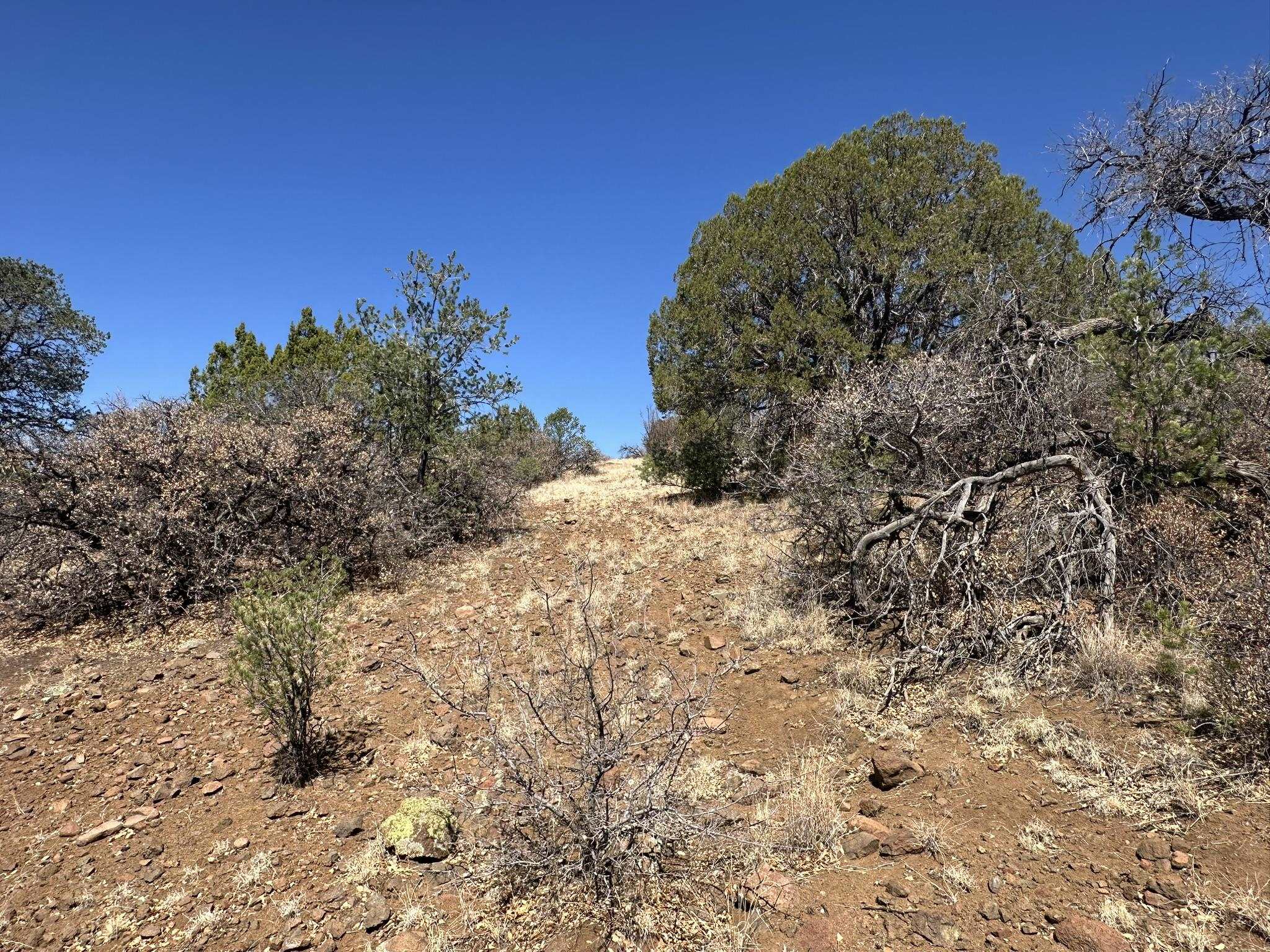 12X Hideaway Trail, photograph 6