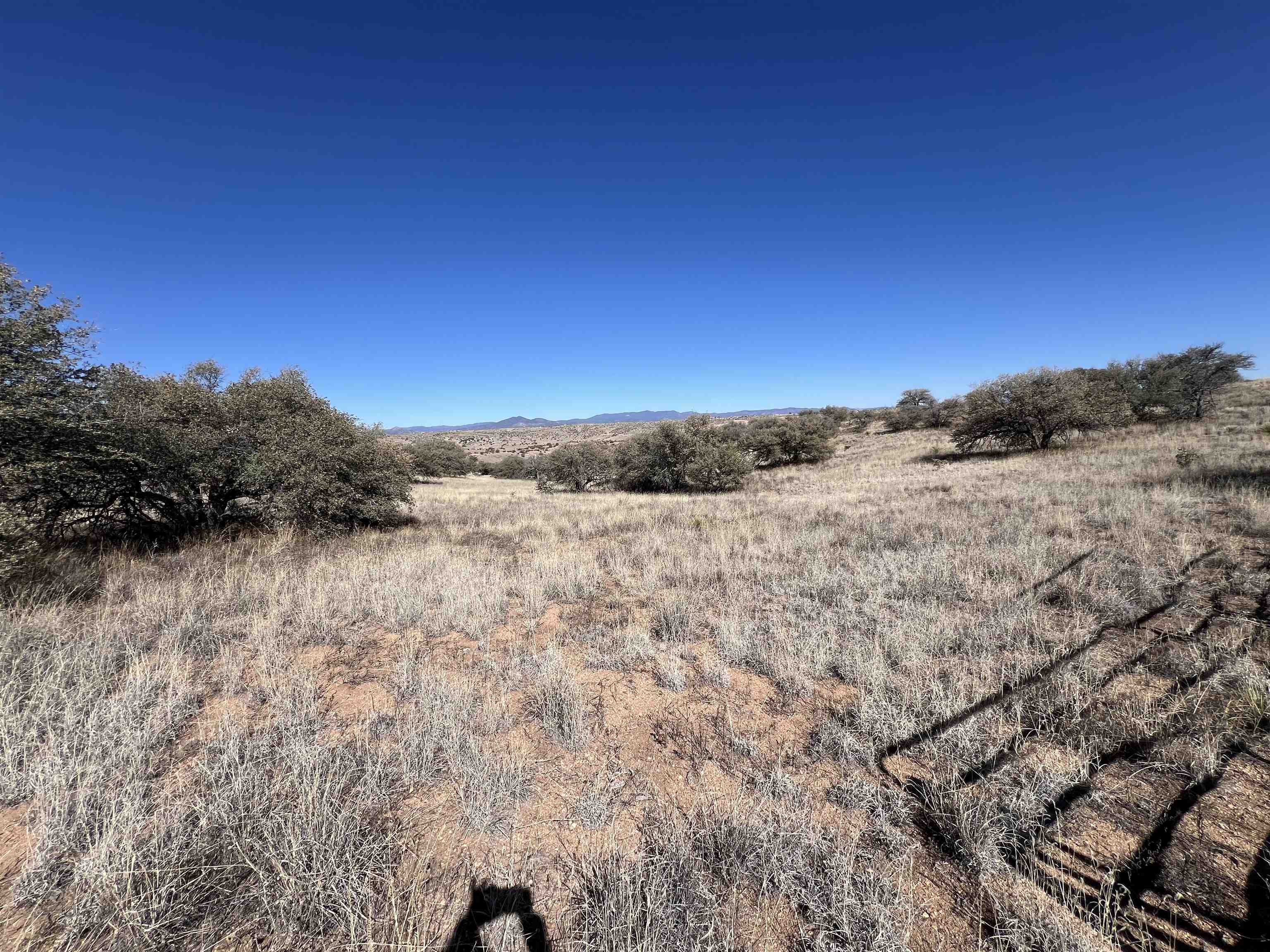 88 X Running Iron, photograph 11