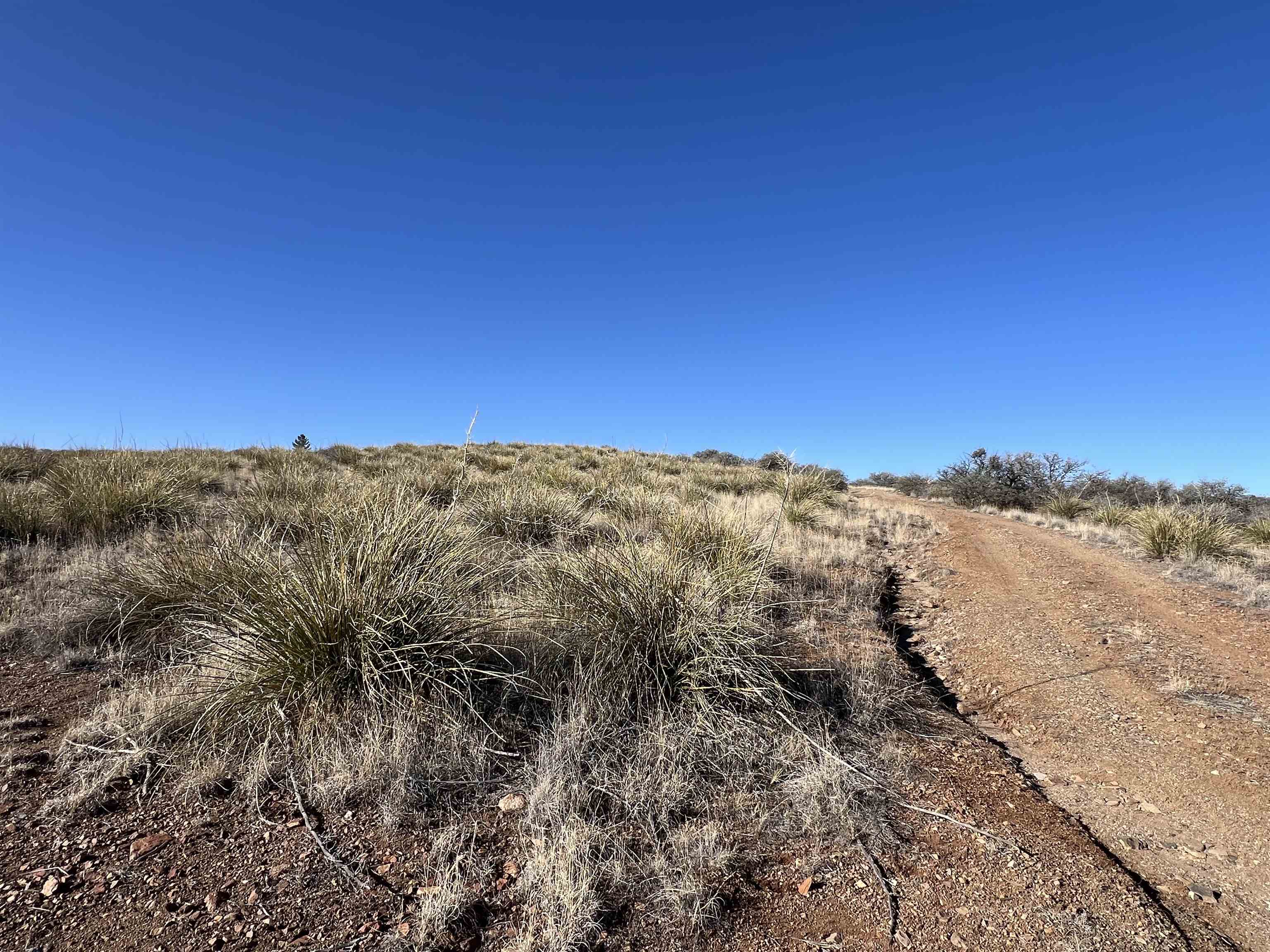88 X Running Iron, photograph 3