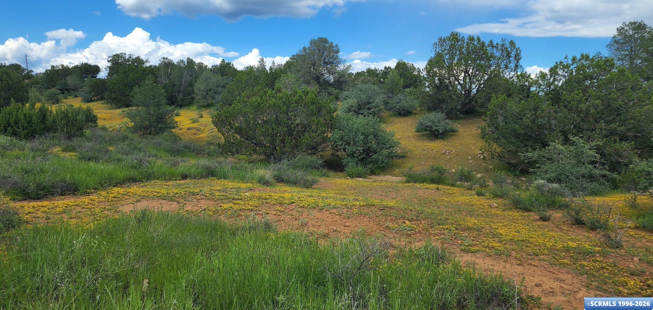 UNK LOGAN Road, Silver City