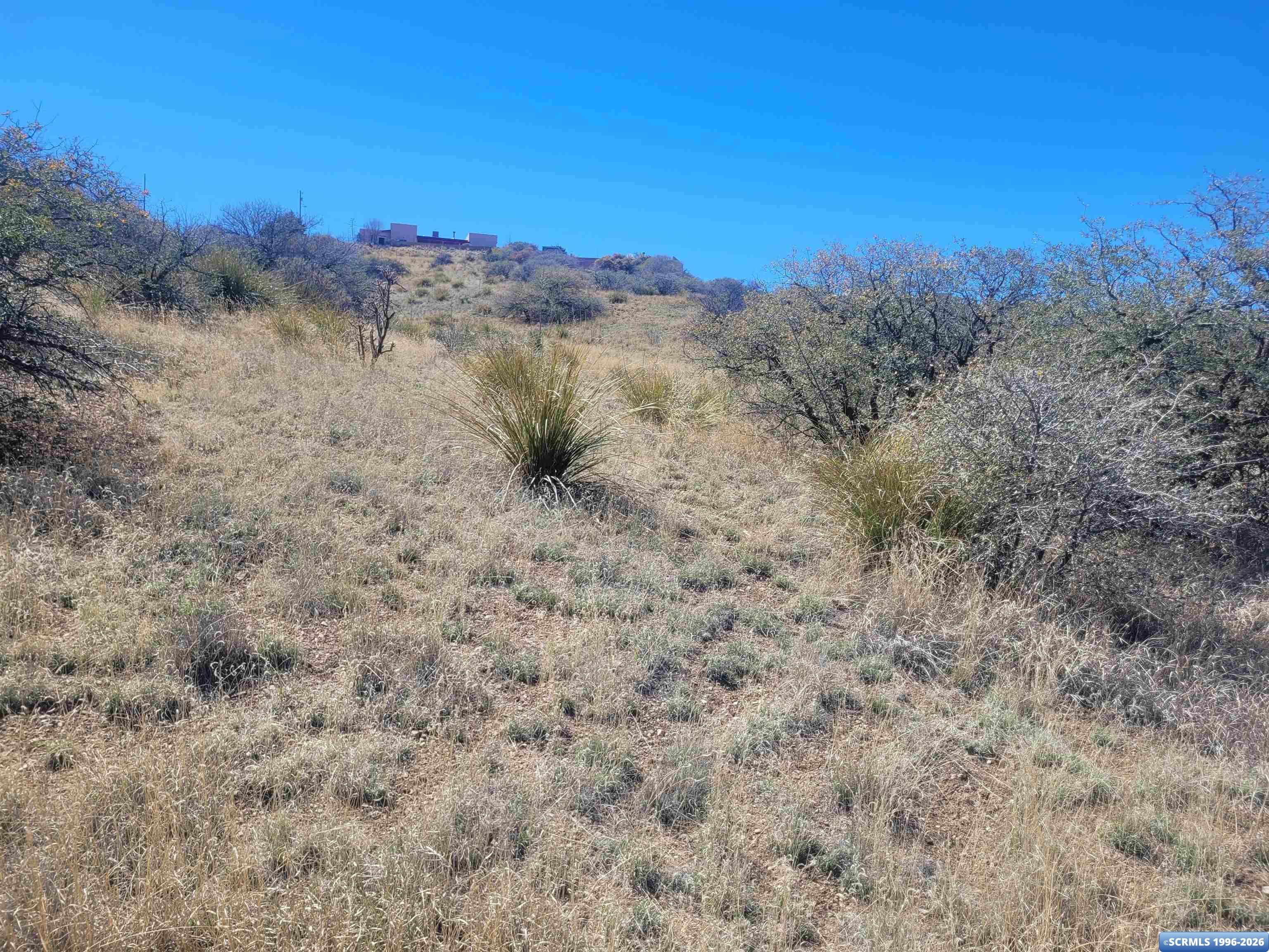 XX Ridge Road, photograph 3
