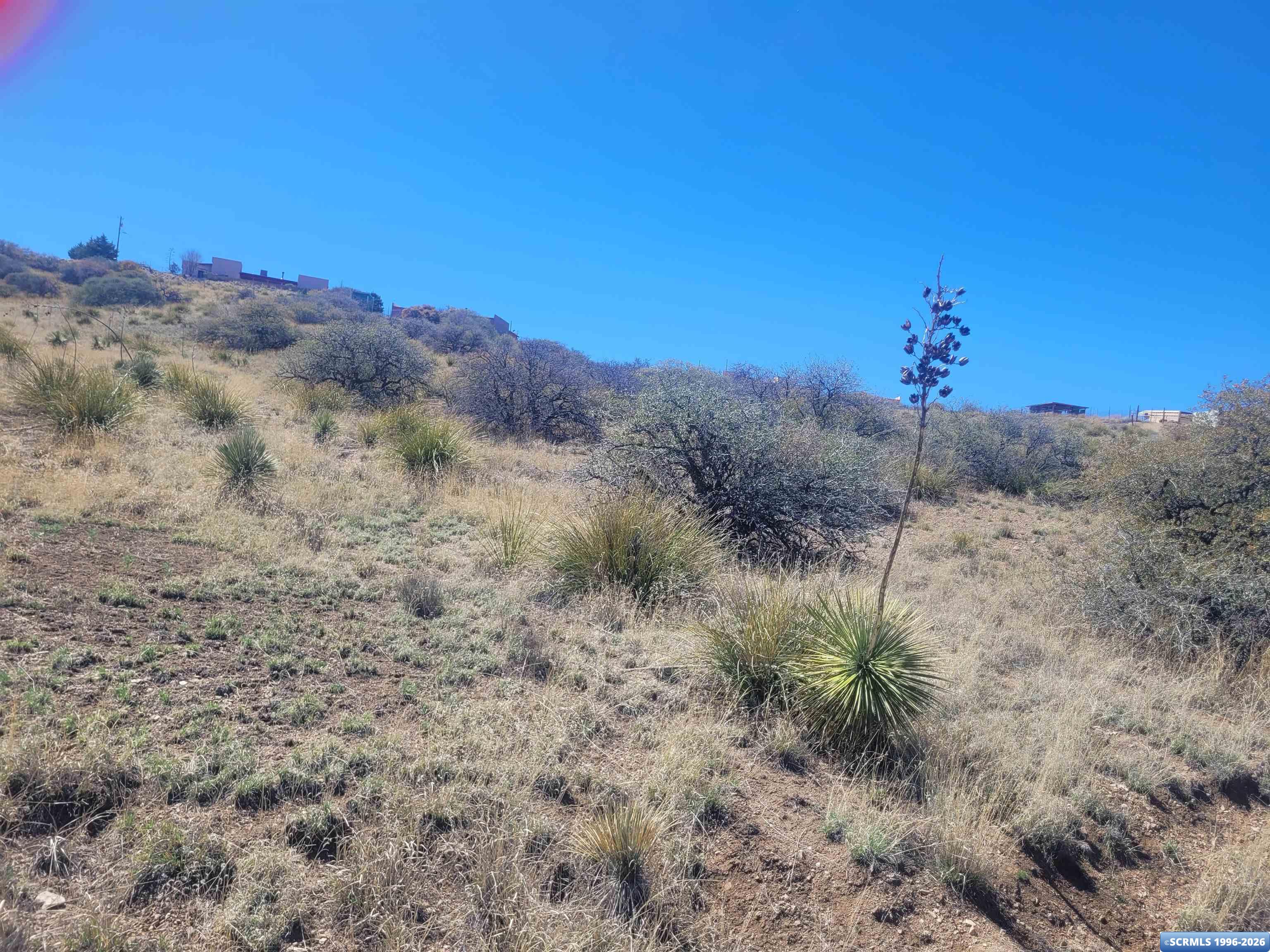 XX Ridge Road, photograph 4