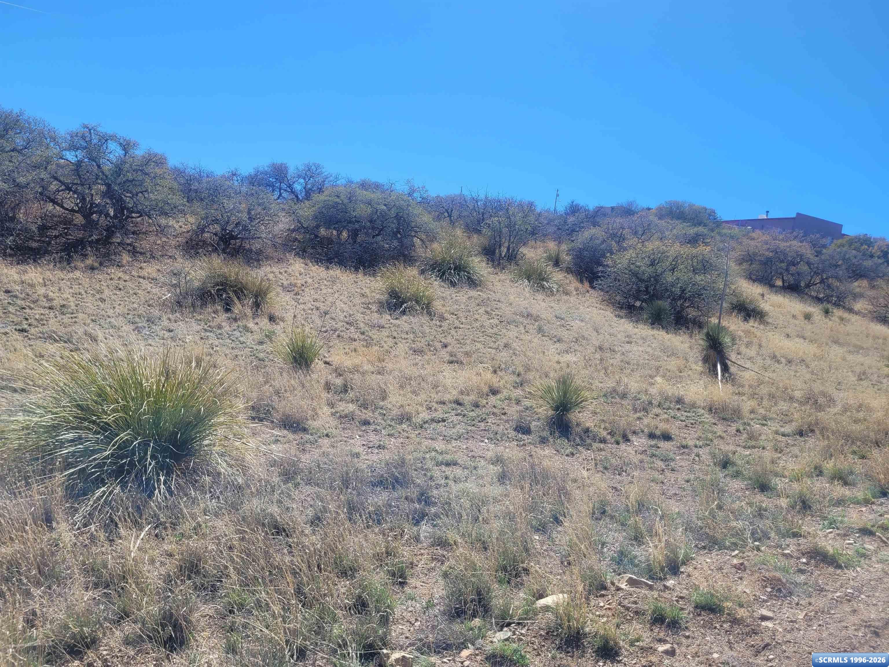 XX Ridge Road, photograph 5