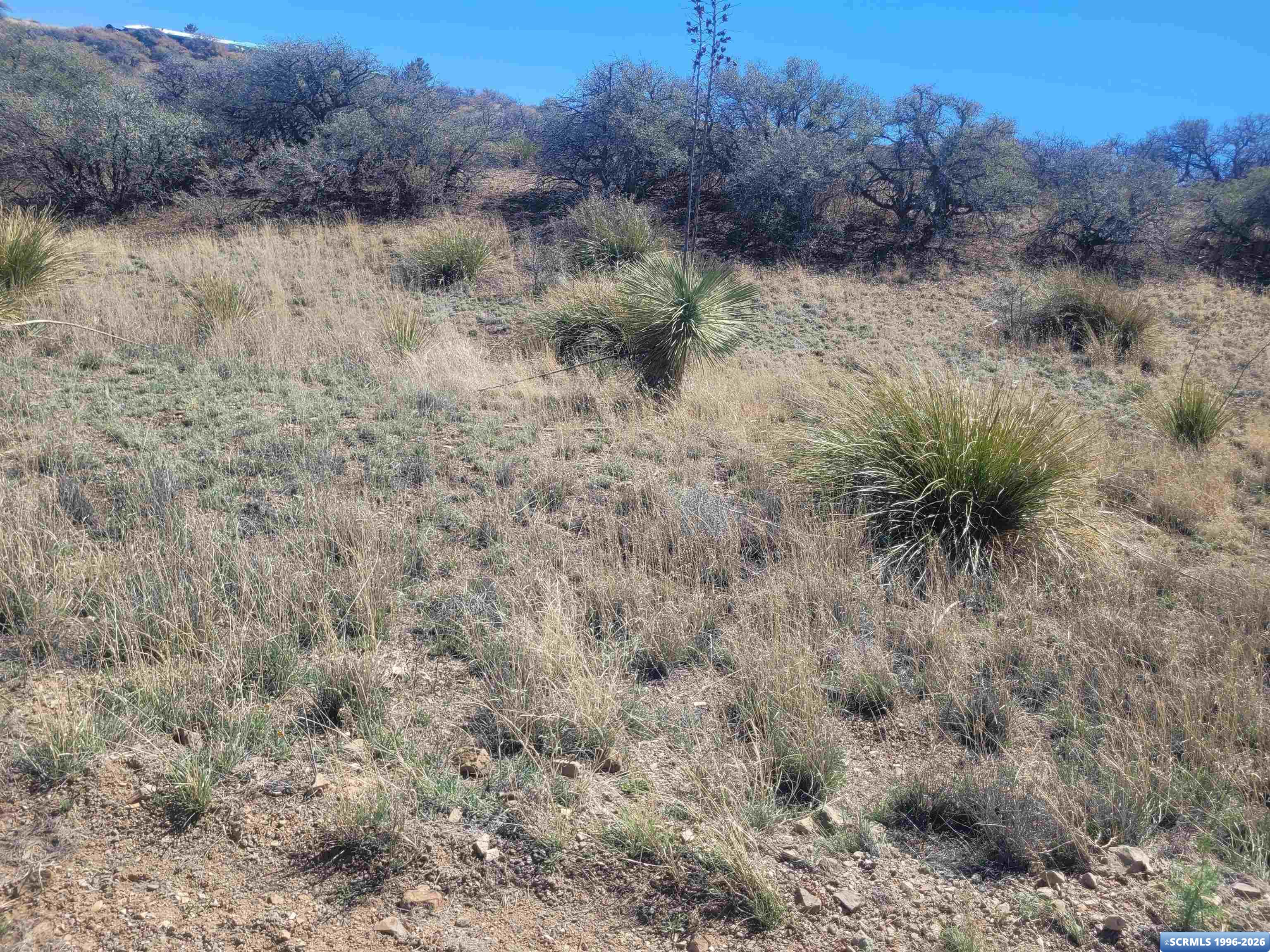 XX Ridge Road, photograph 6