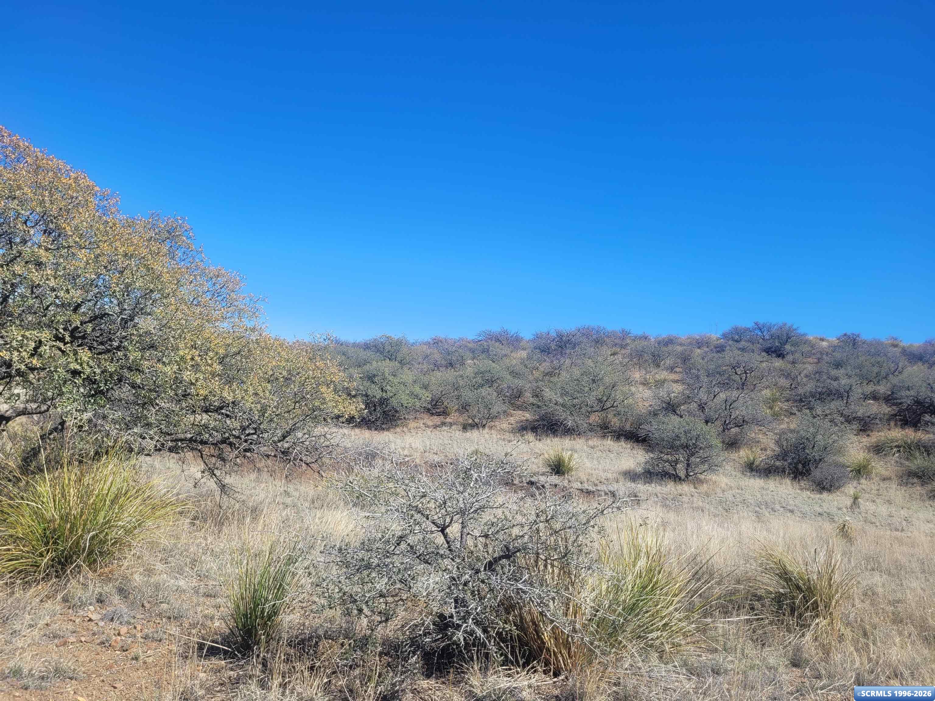XX Ridge Road, photograph 10