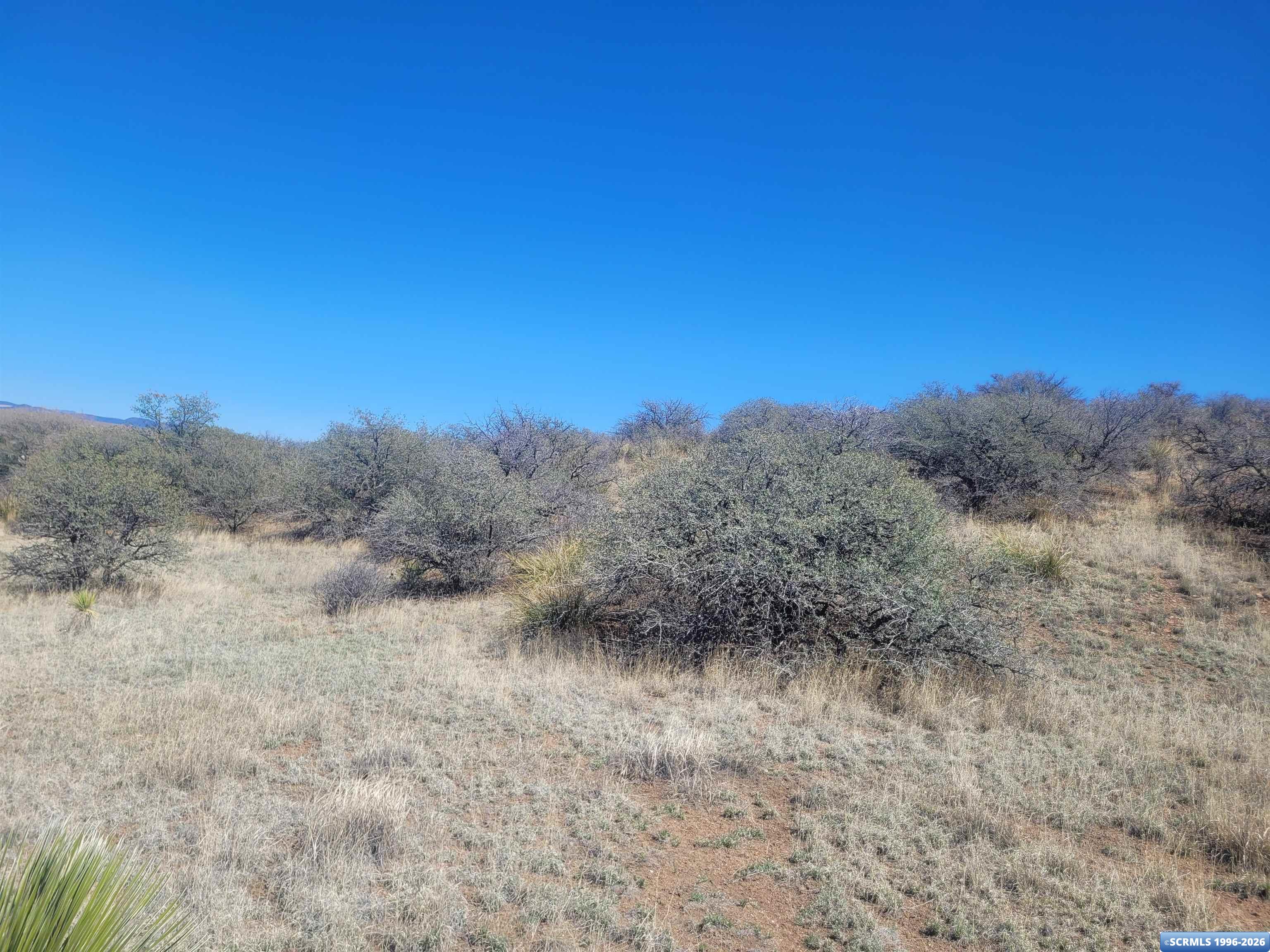 XX Ridge Road, photograph 11