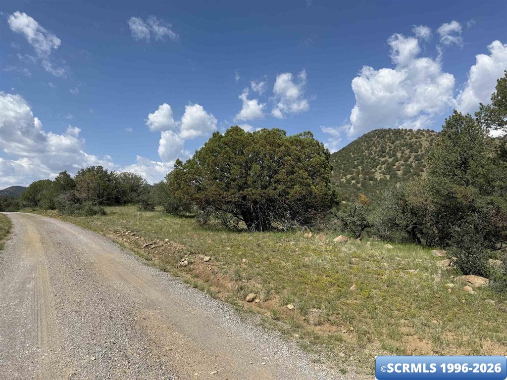 xy Black Dog Road, Silver City