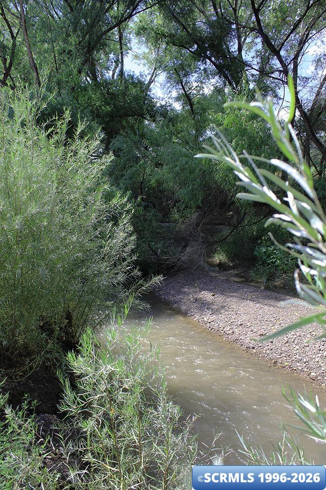 33 Blue Heron, photograph 3