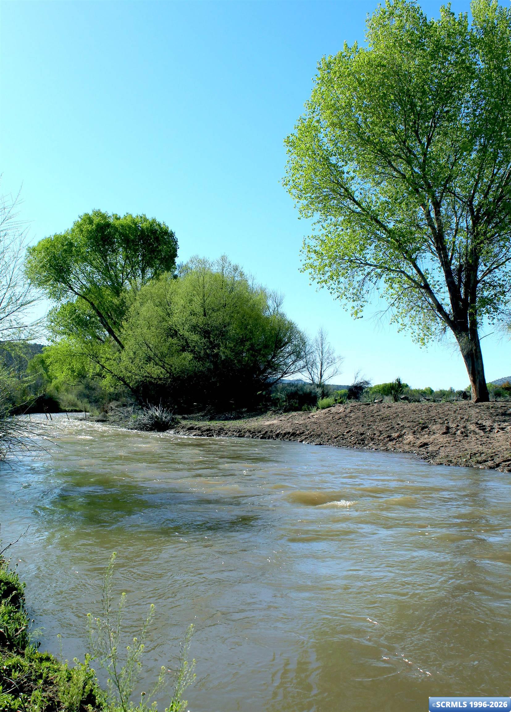 33 Blue Heron, photograph 24