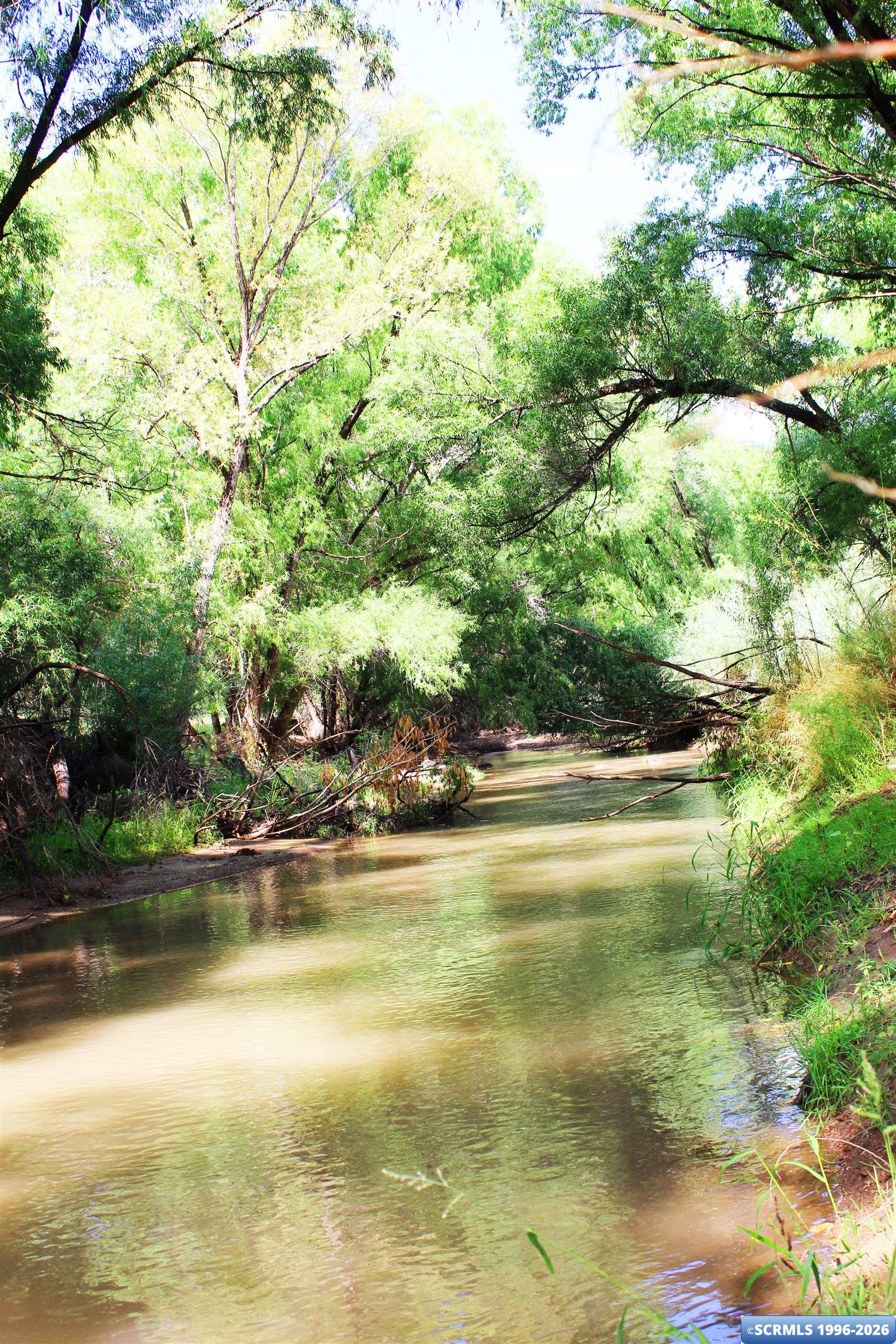 33 Blue Heron, photograph 13